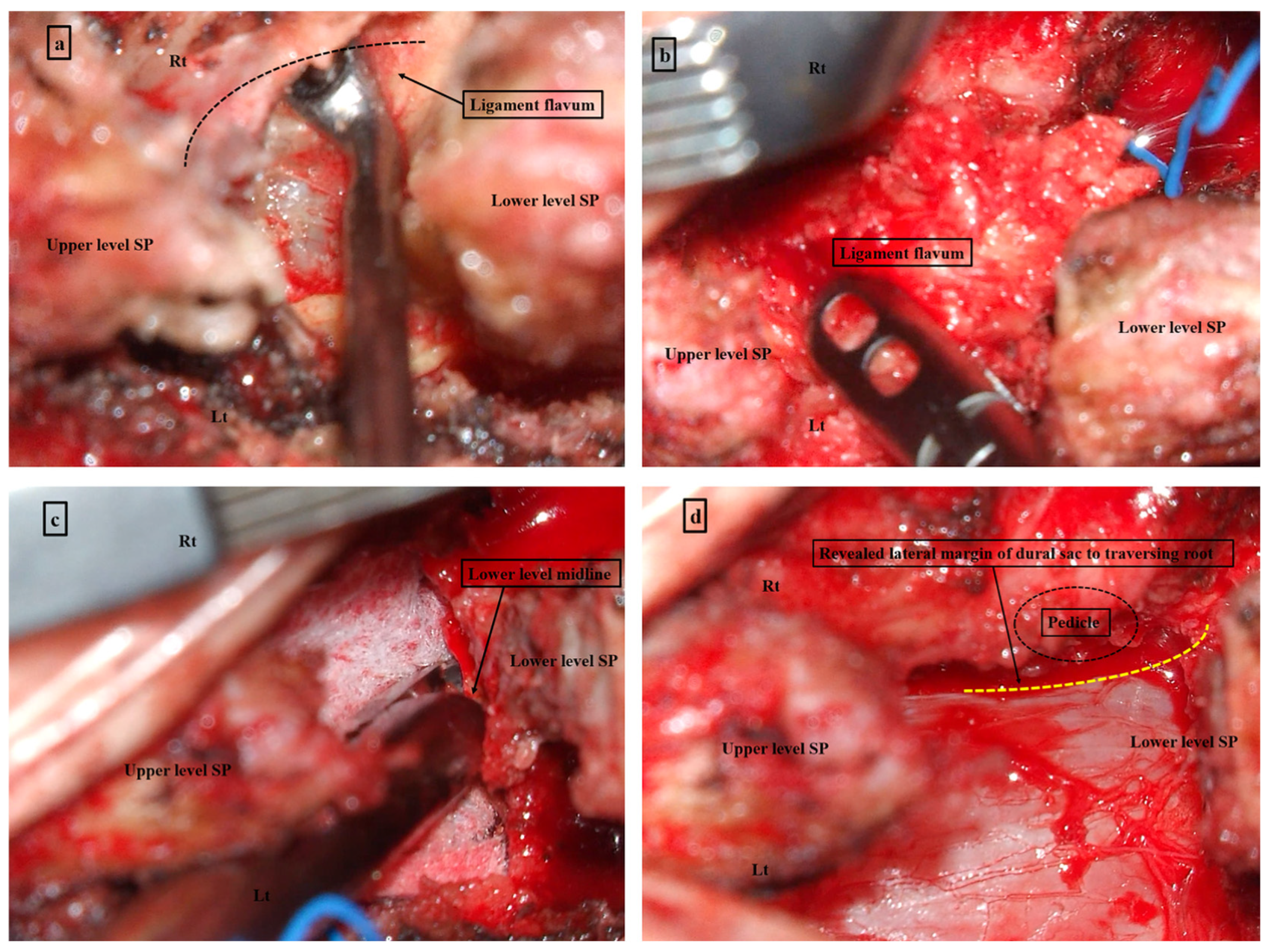 Neurosci 06 00018 g002