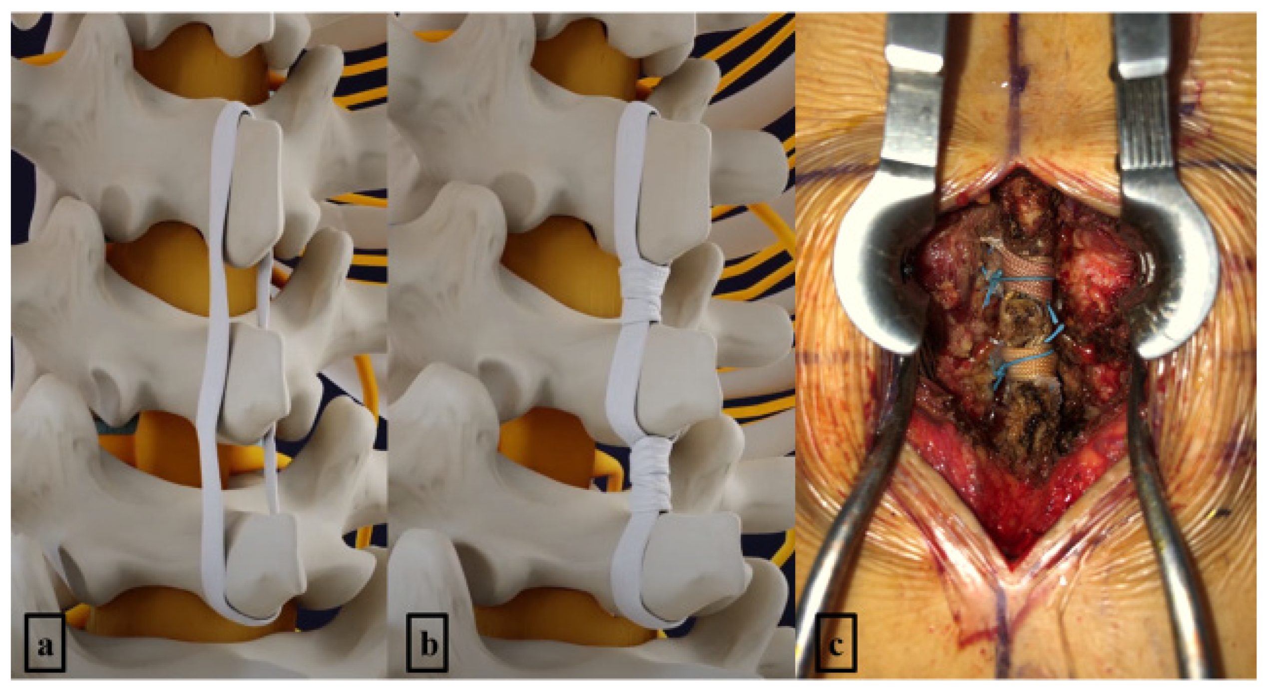Neurosci 06 00018 g005