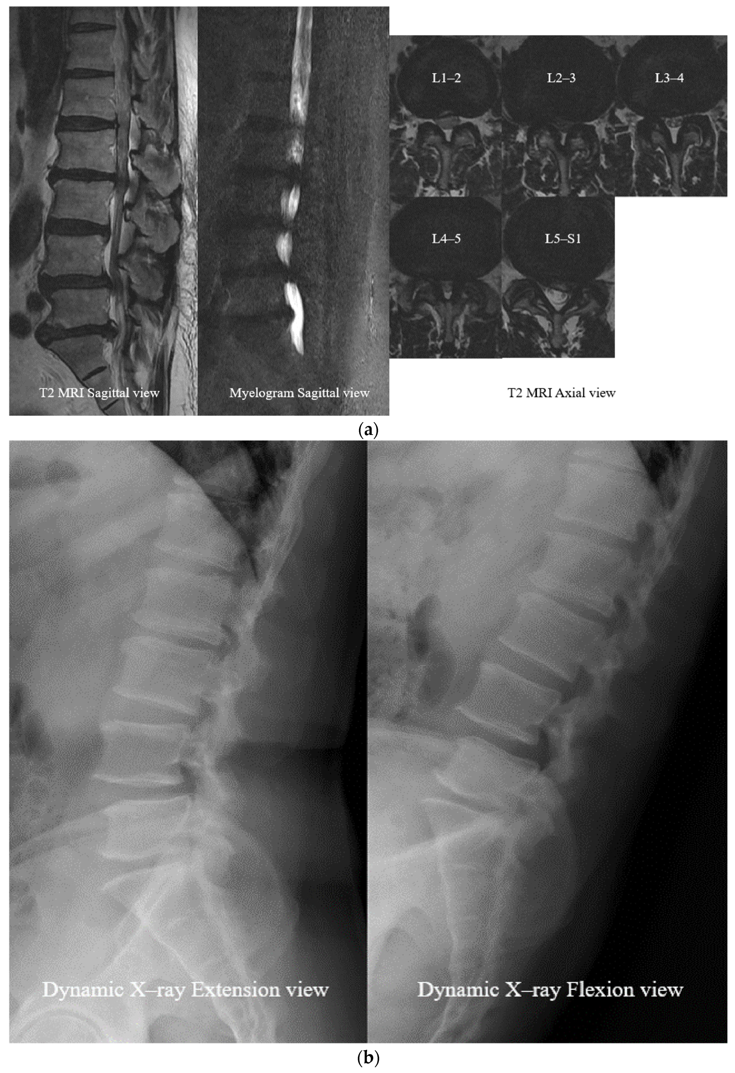 Neurosci 06 00018 g006a