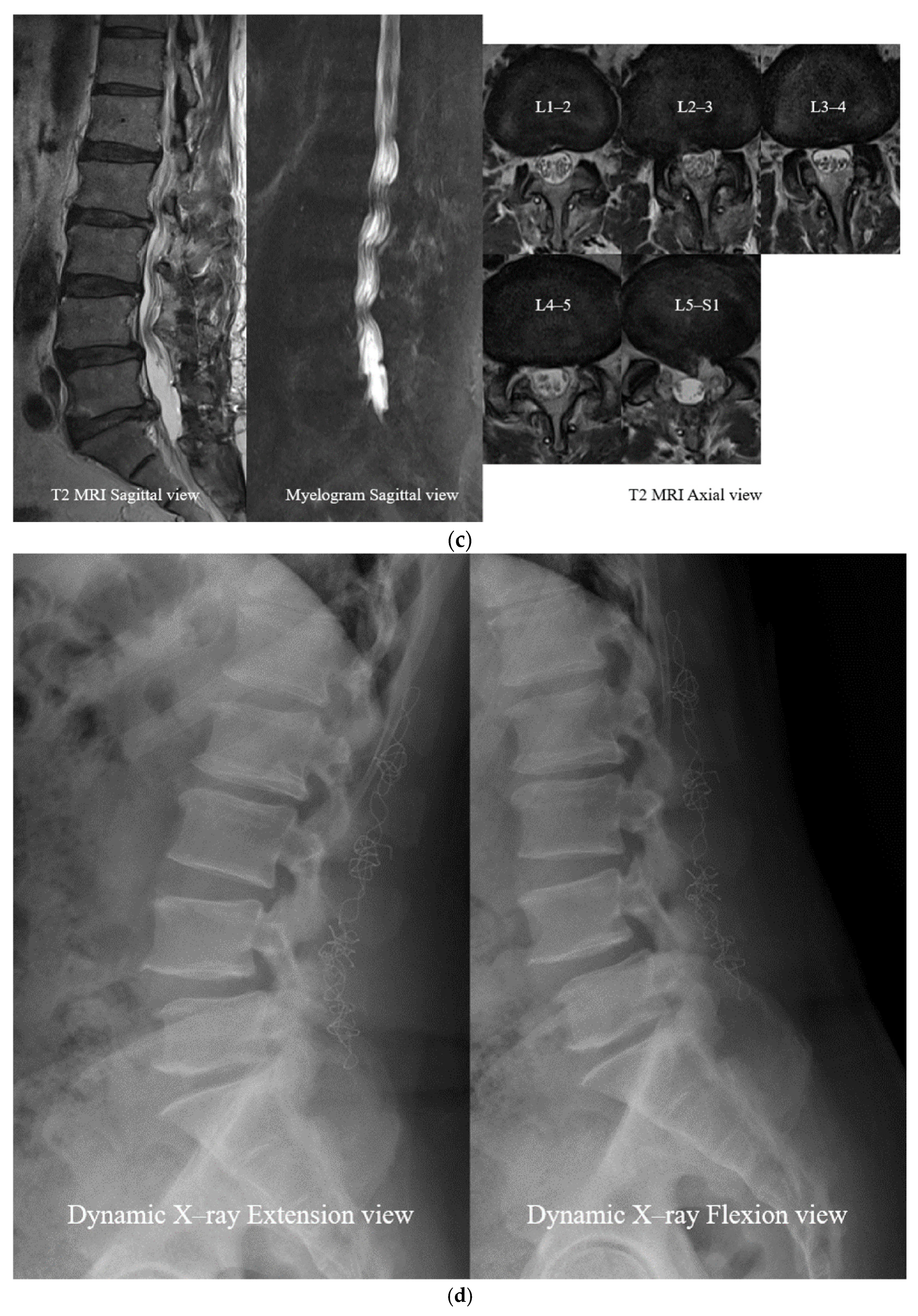 Neurosci 06 00018 g006b