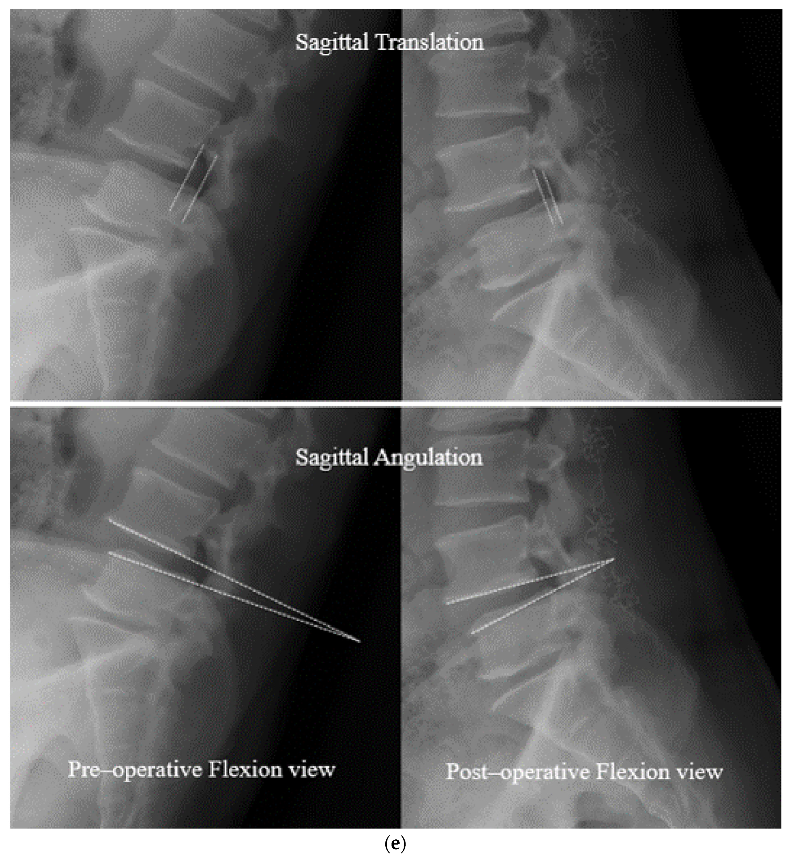 Neurosci 06 00018 g006c