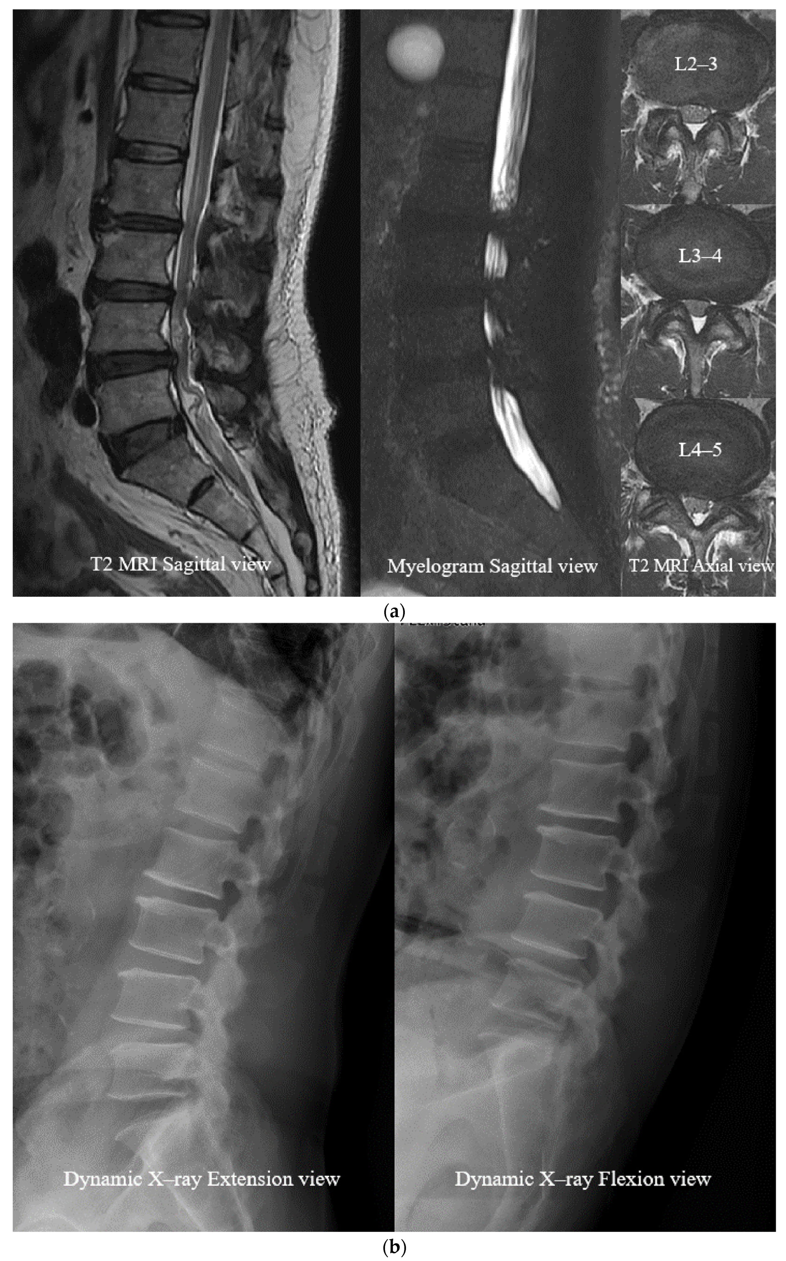 Neurosci 06 00018 g007a