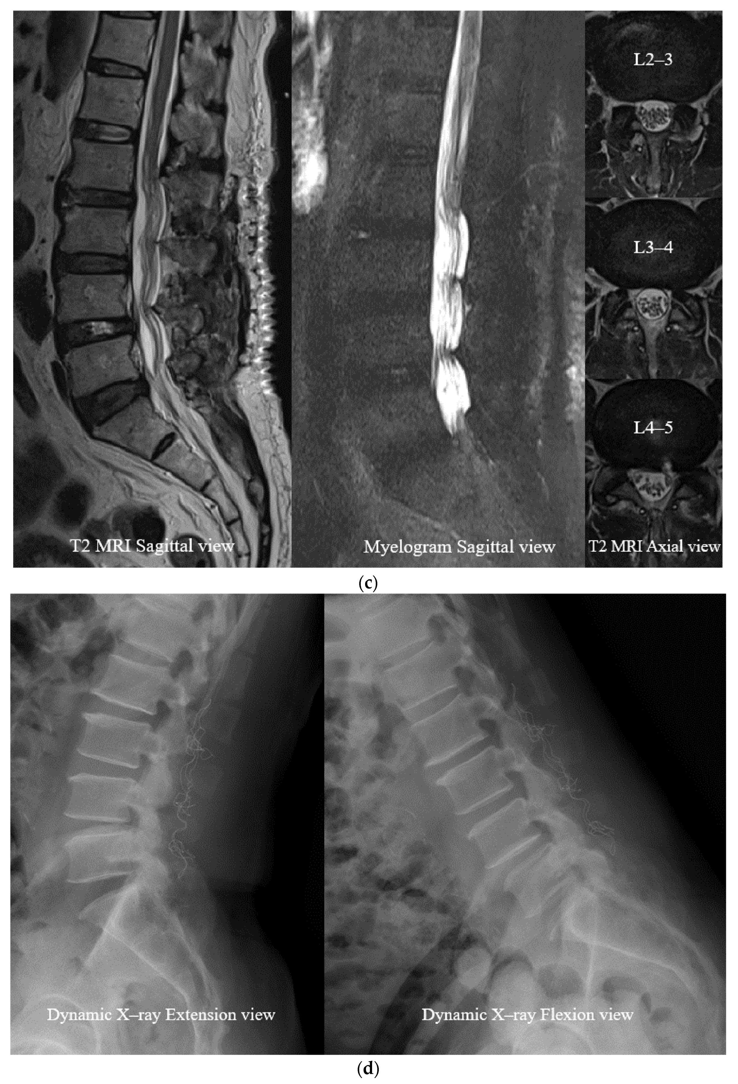 Neurosci 06 00018 g007b