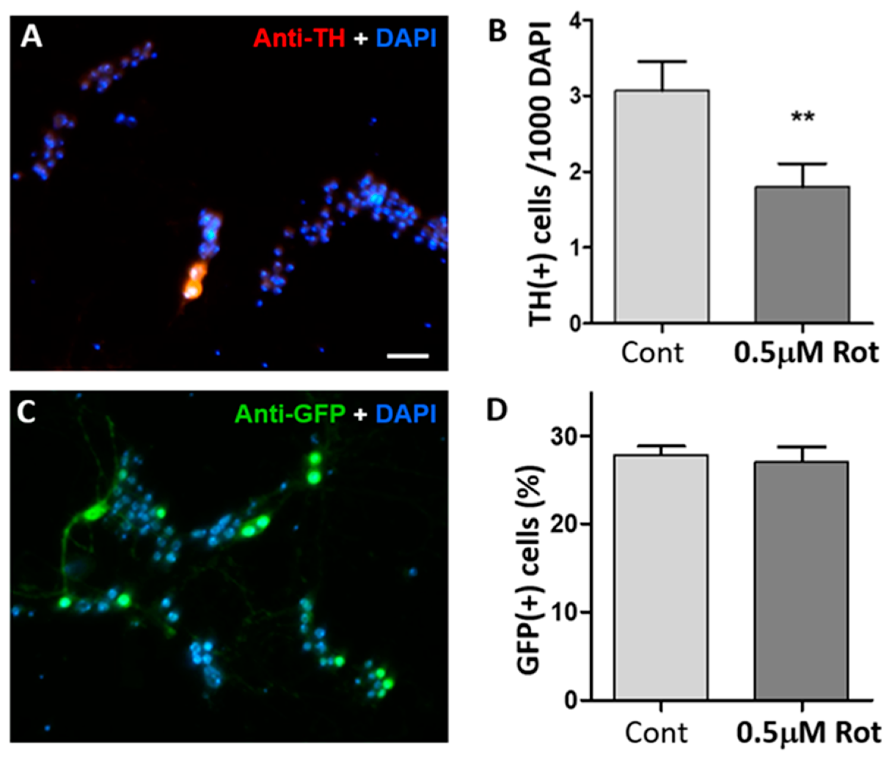 Neurosci 06 00024 g001