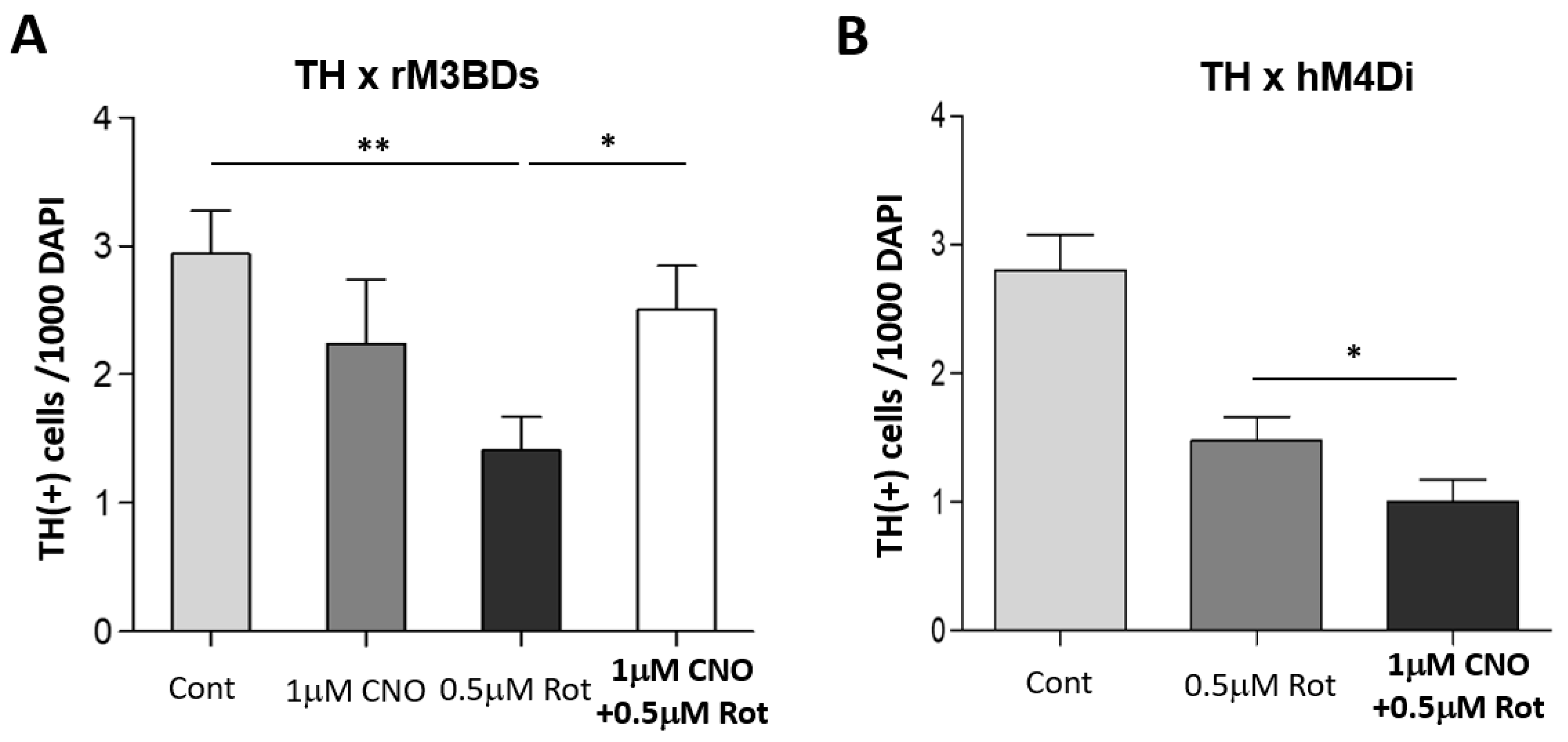 Neurosci 06 00024 g002