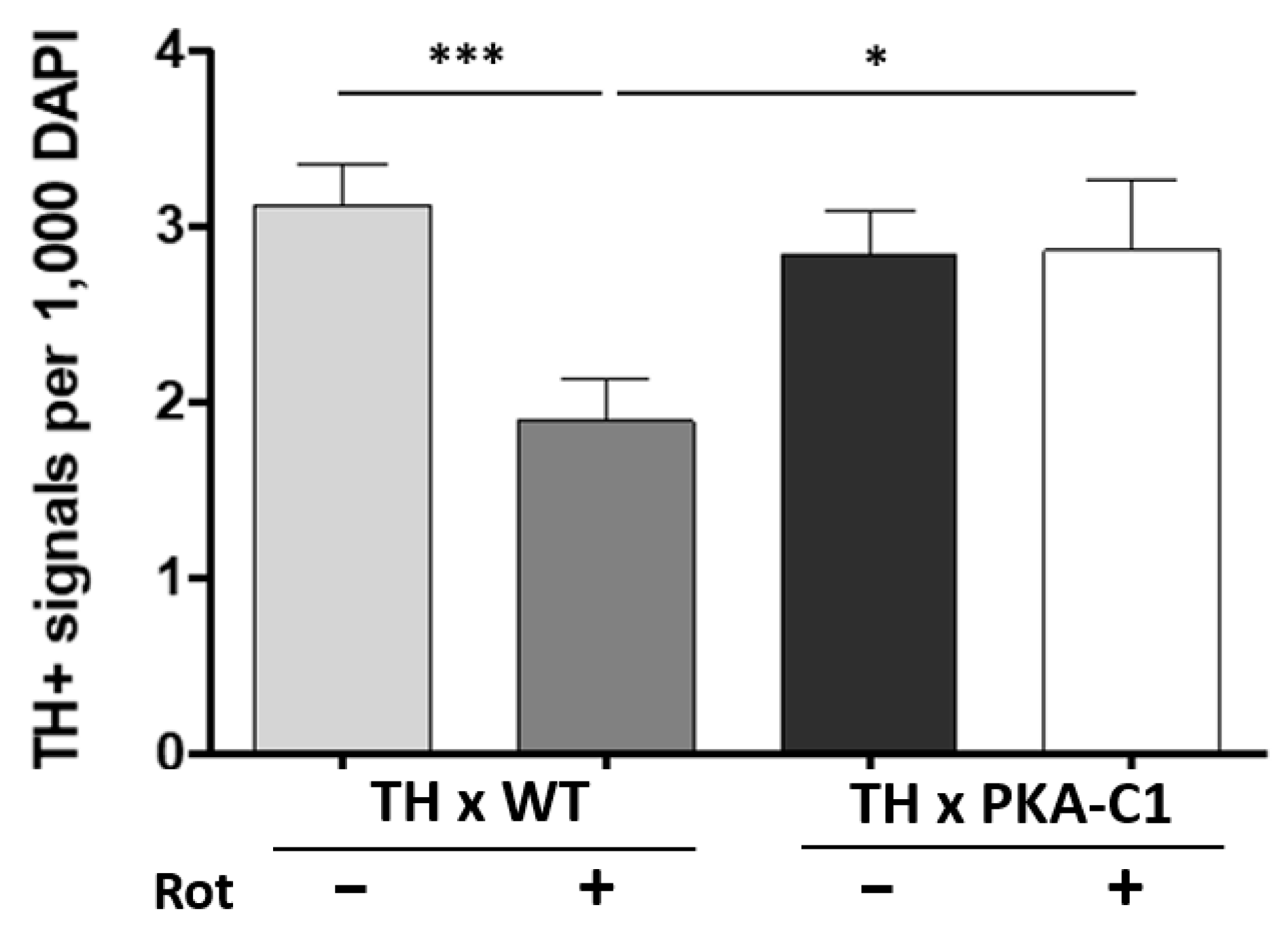 Neurosci 06 00024 g003