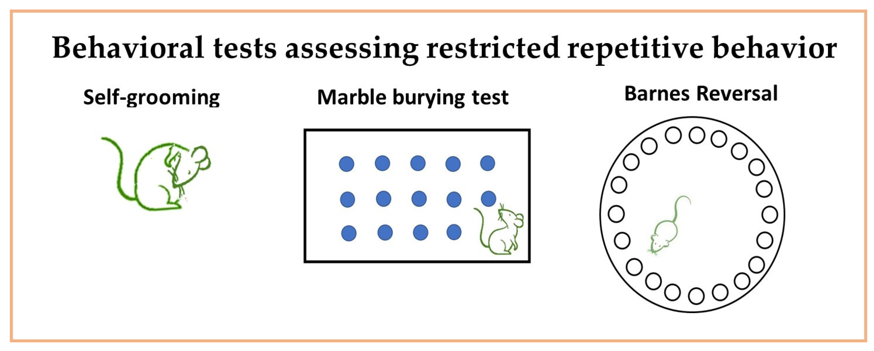 Neurosci 06 00027 g002