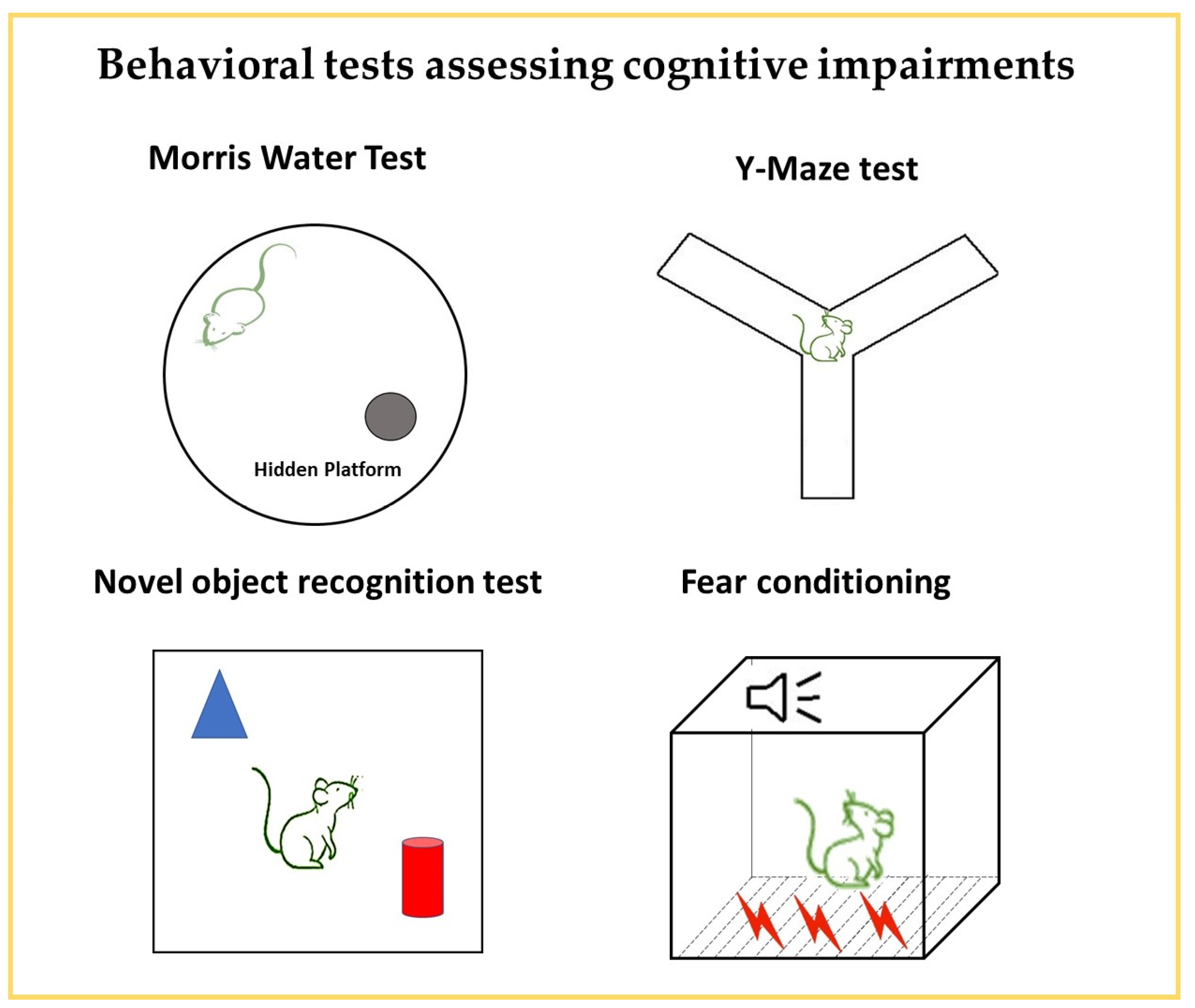 Neurosci 06 00027 g003