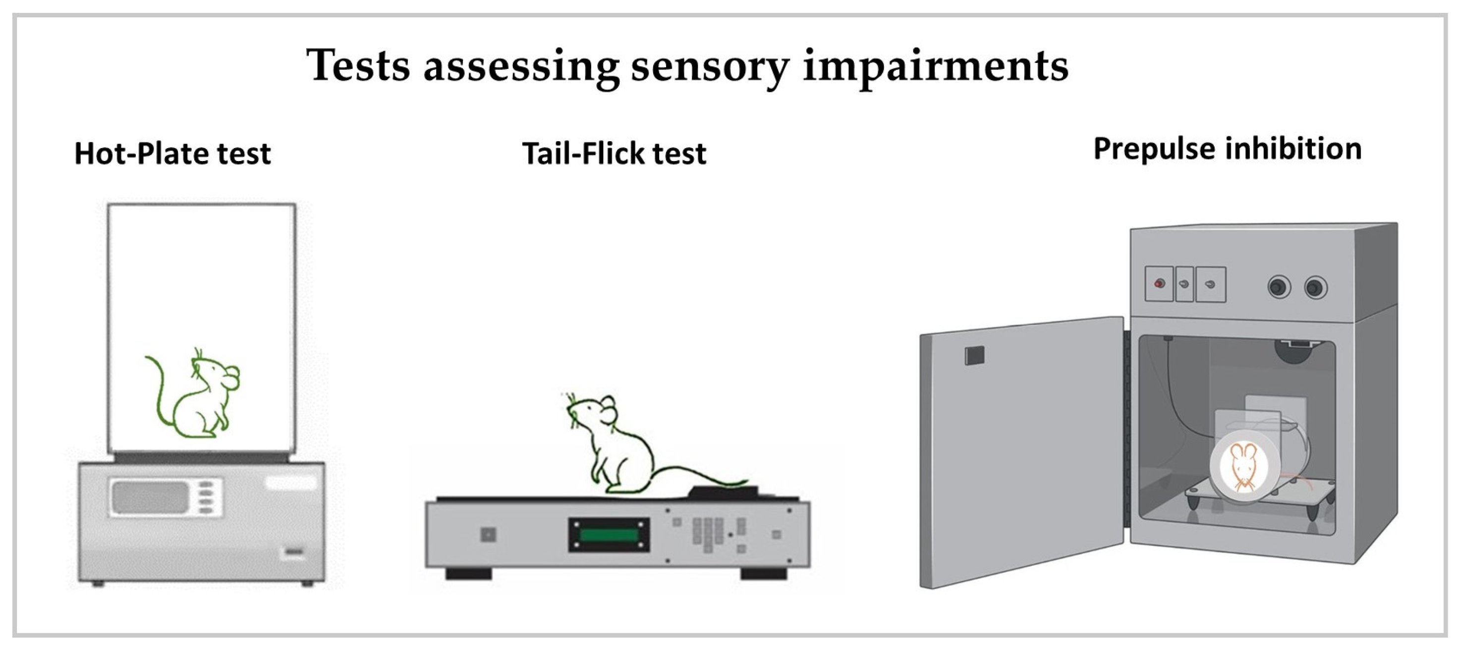 Neurosci 06 00027 g004