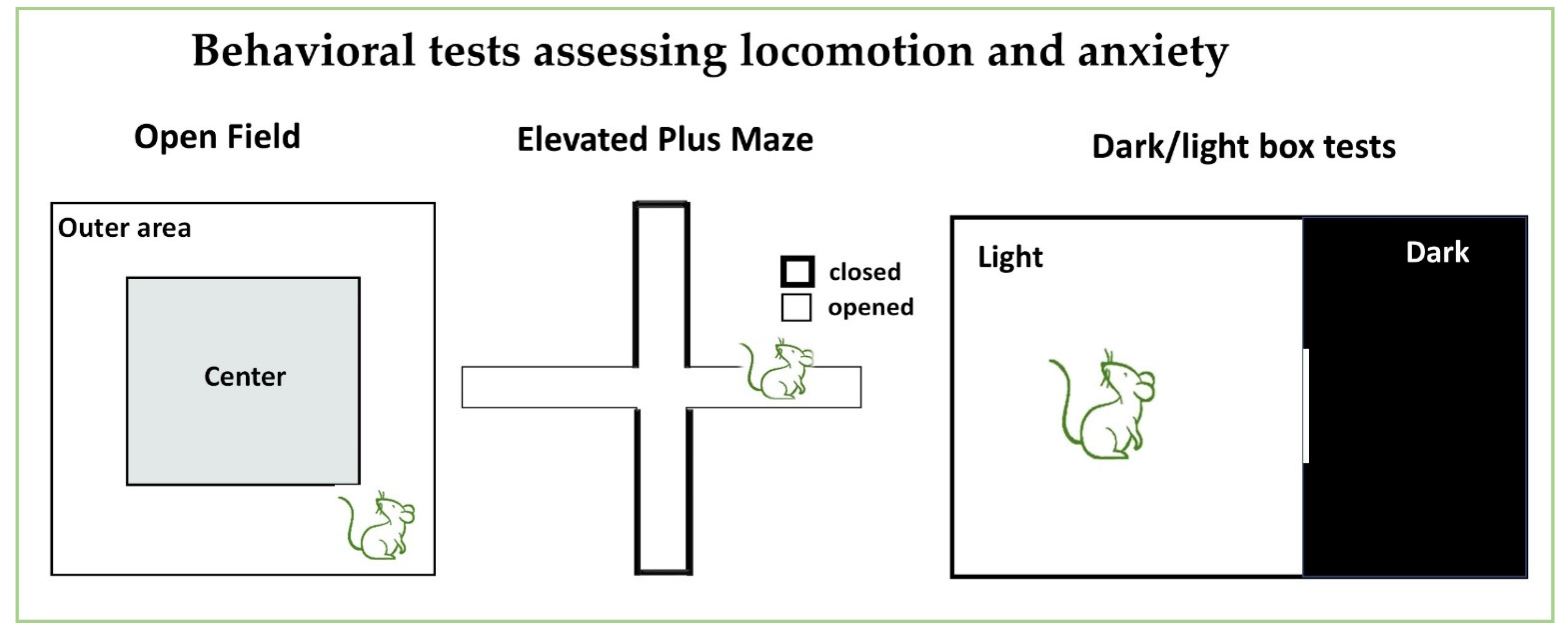 Neurosci 06 00027 g005