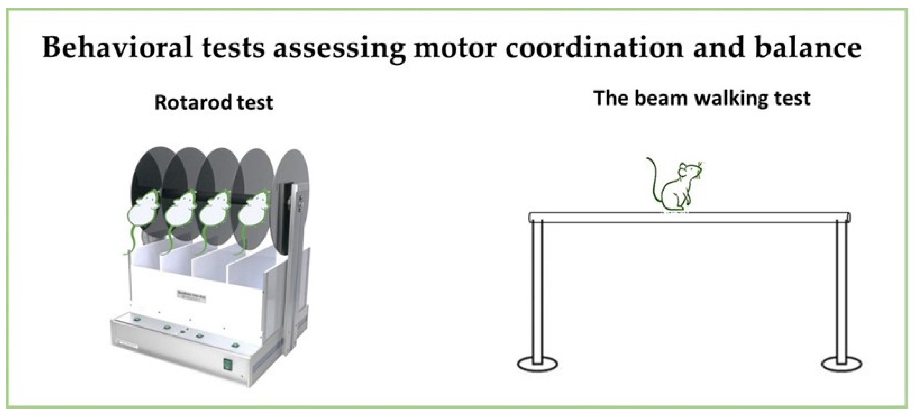Neurosci 06 00027 g006