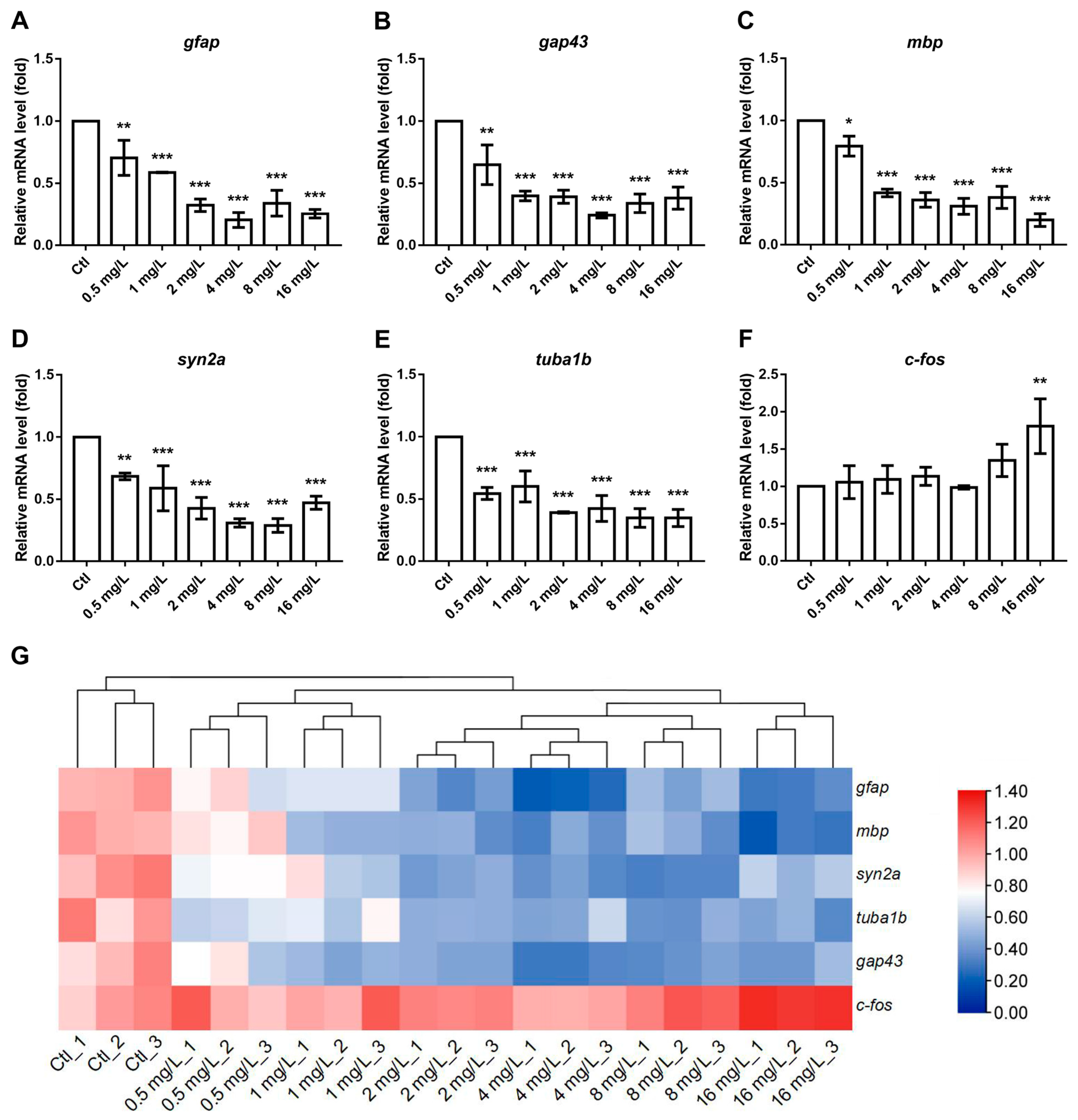 Neurosci 06 00028 g005