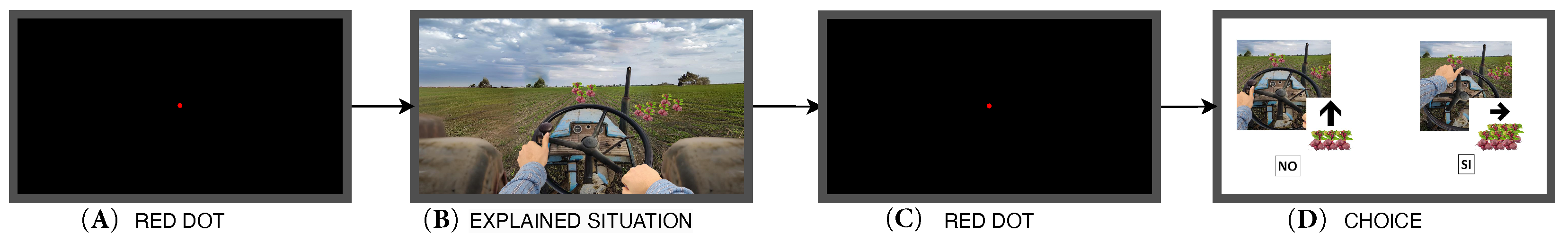 Neurosci 06 00035 g011