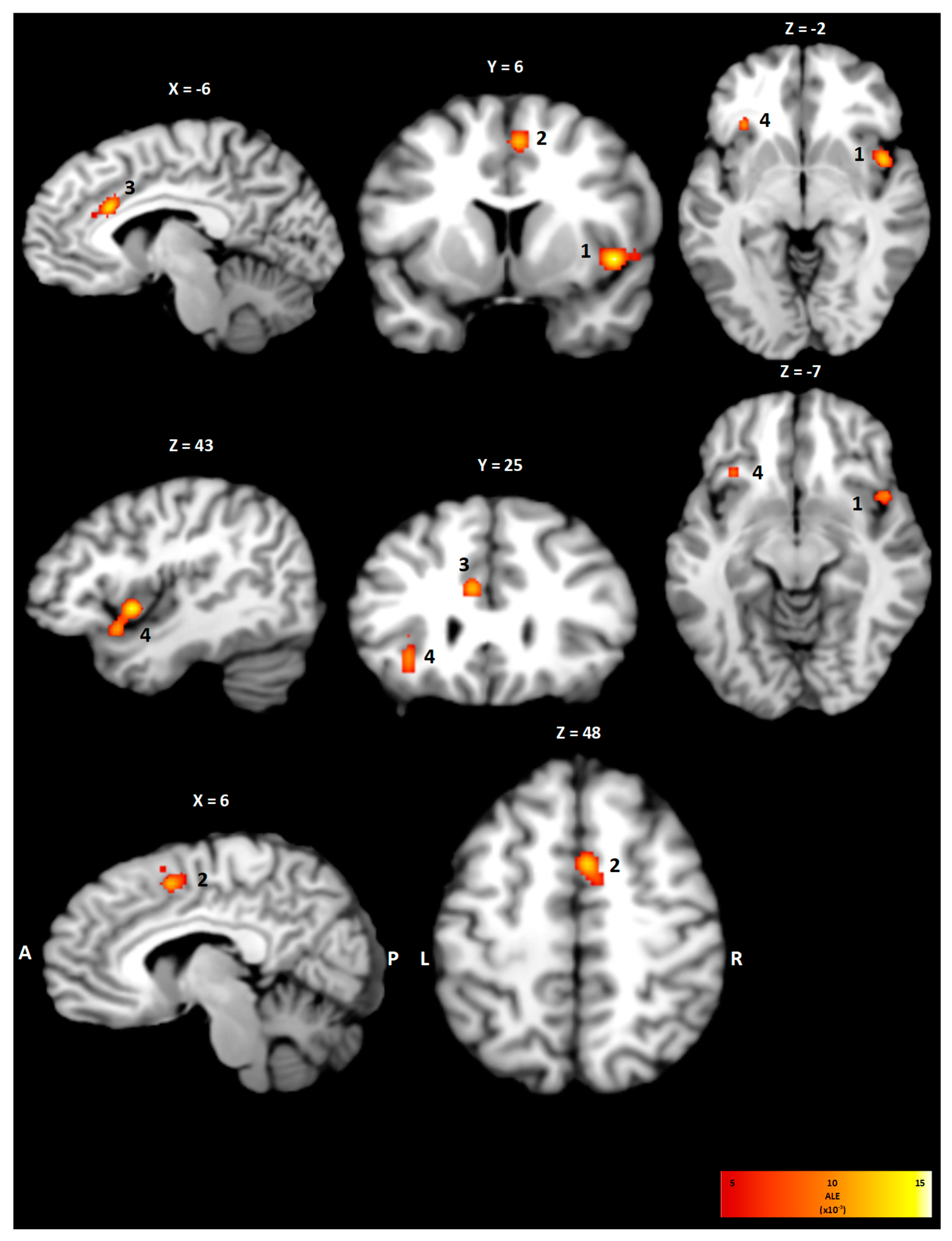 Neurosci 06 00036 g002