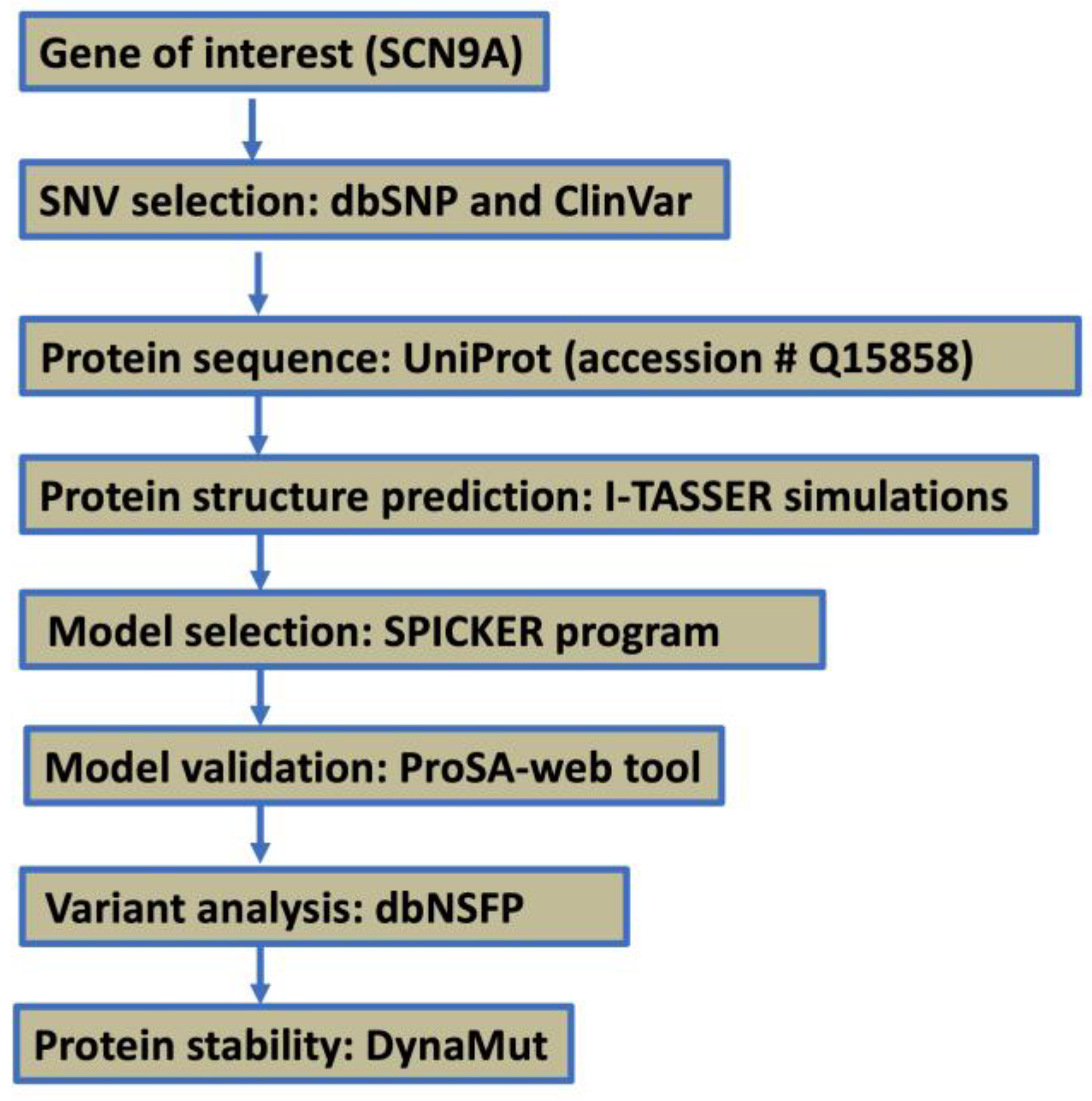 Neurosci 06 00038 g001