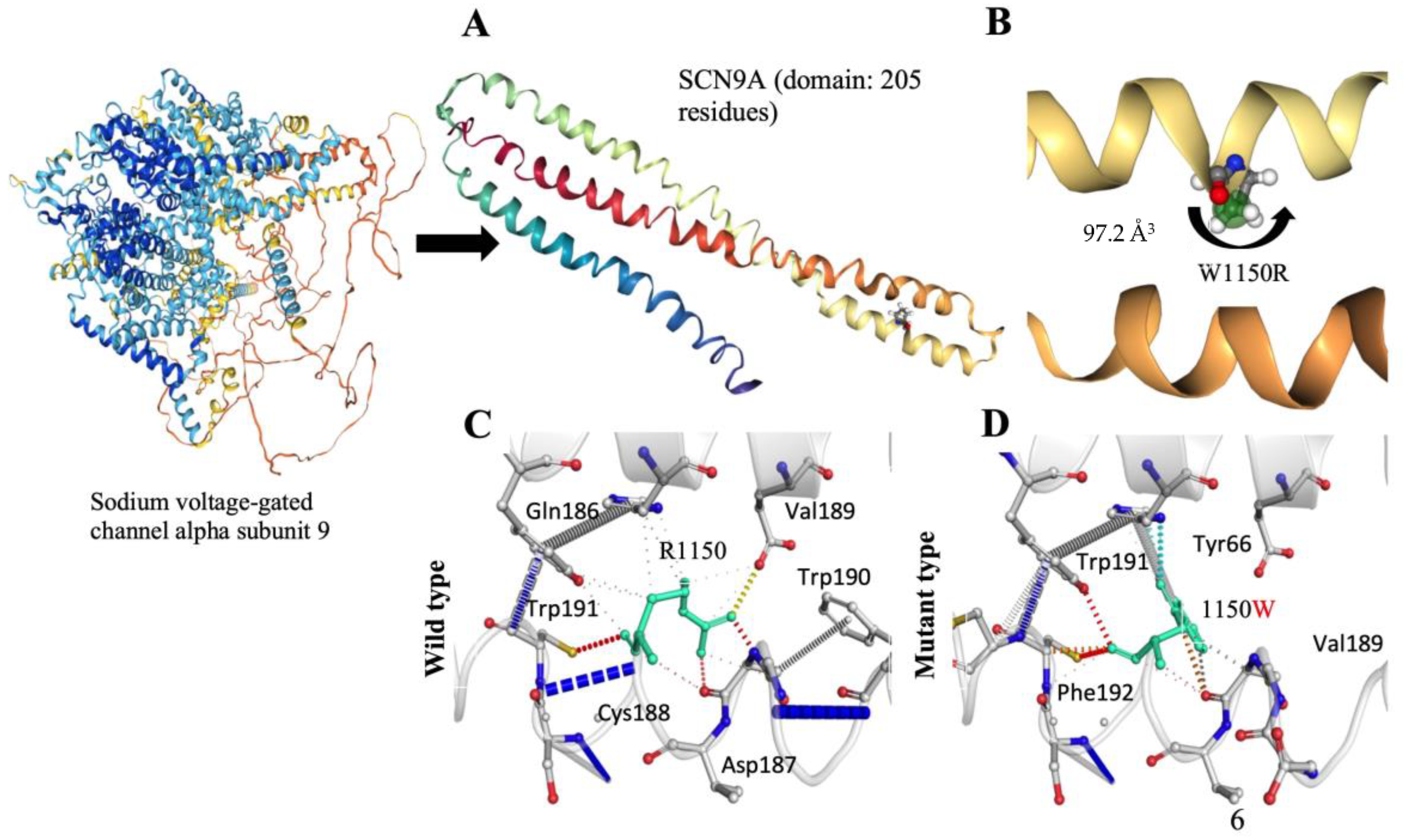Neurosci 06 00038 g003