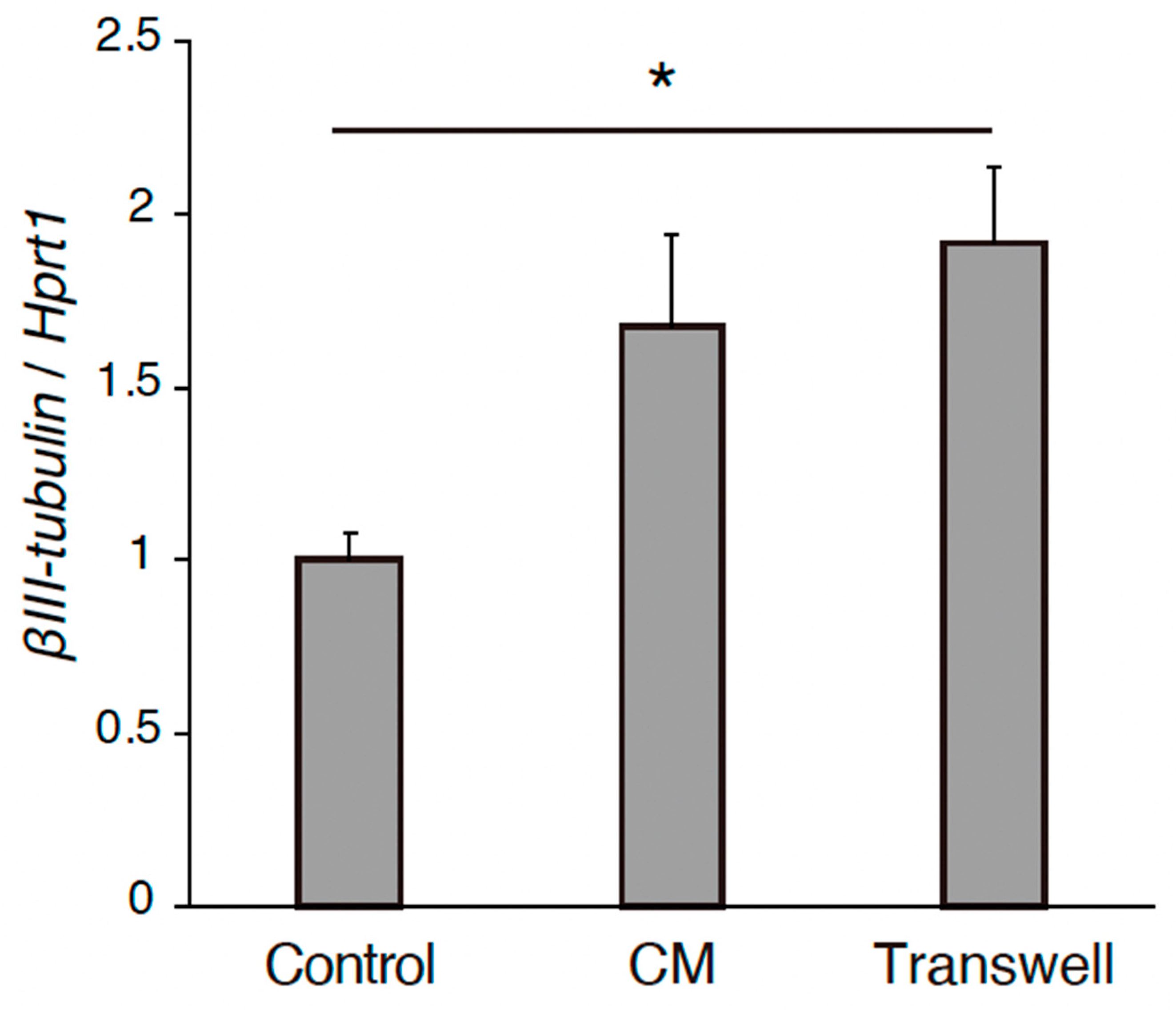 Neurosci 06 00039 g002