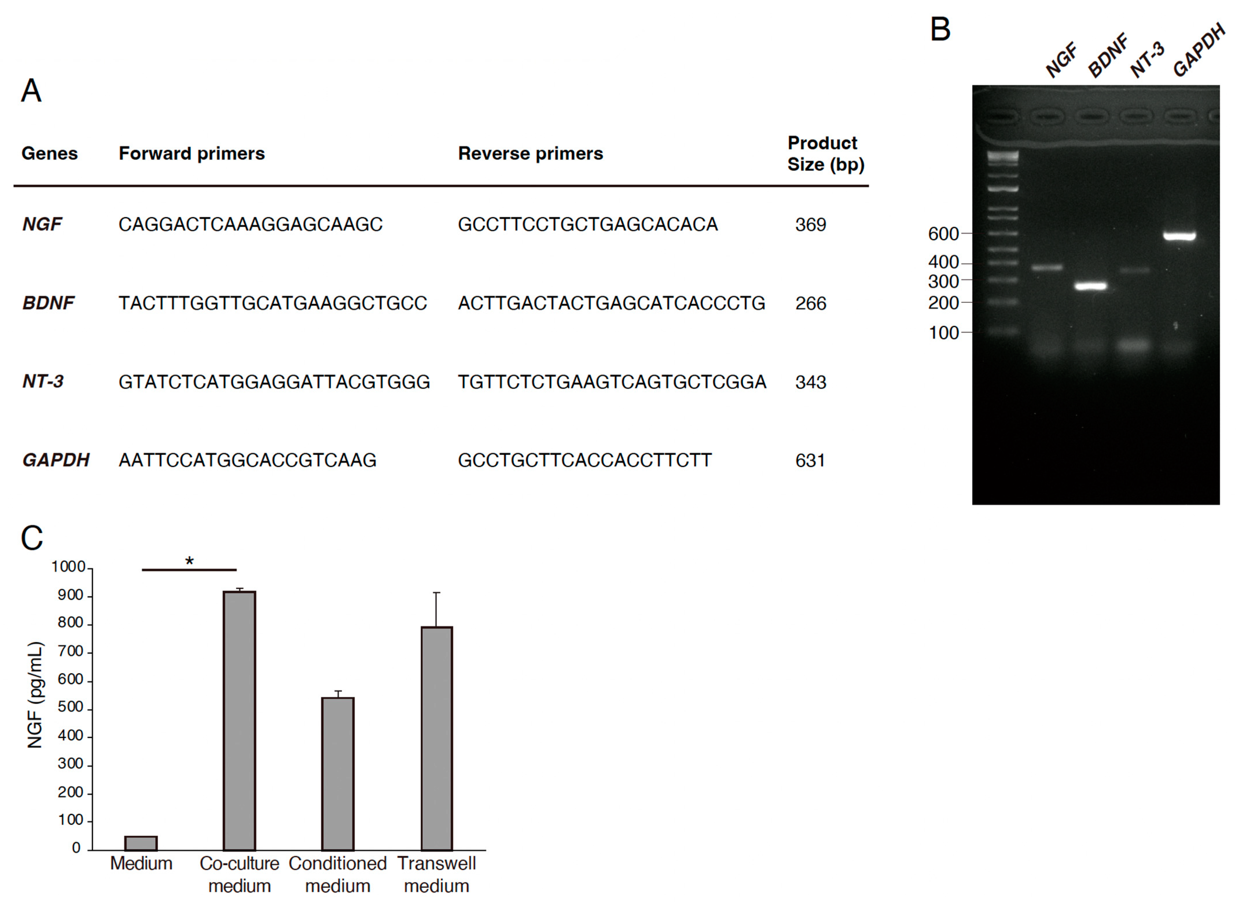 Neurosci 06 00039 g003