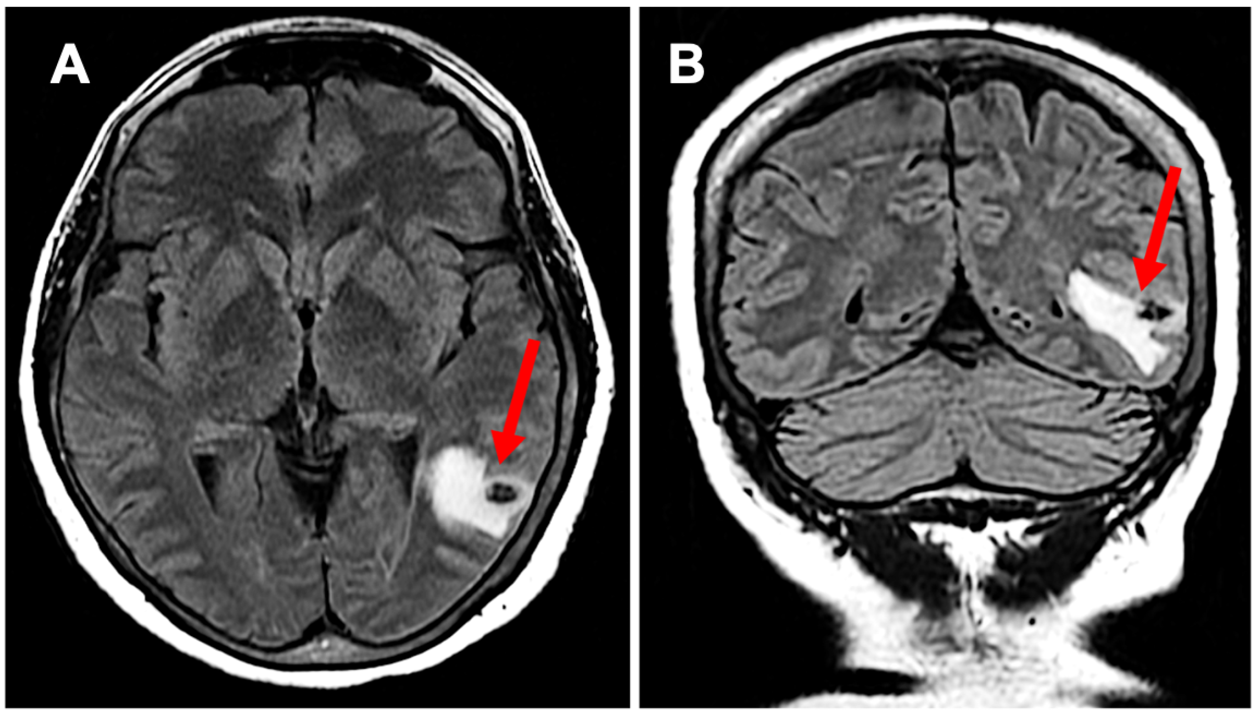 Neurosci 06 00040 g001