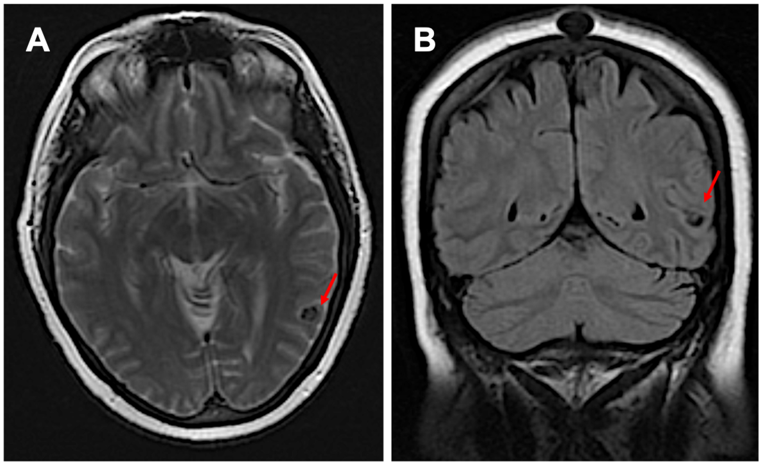 Neurosci 06 00040 g002