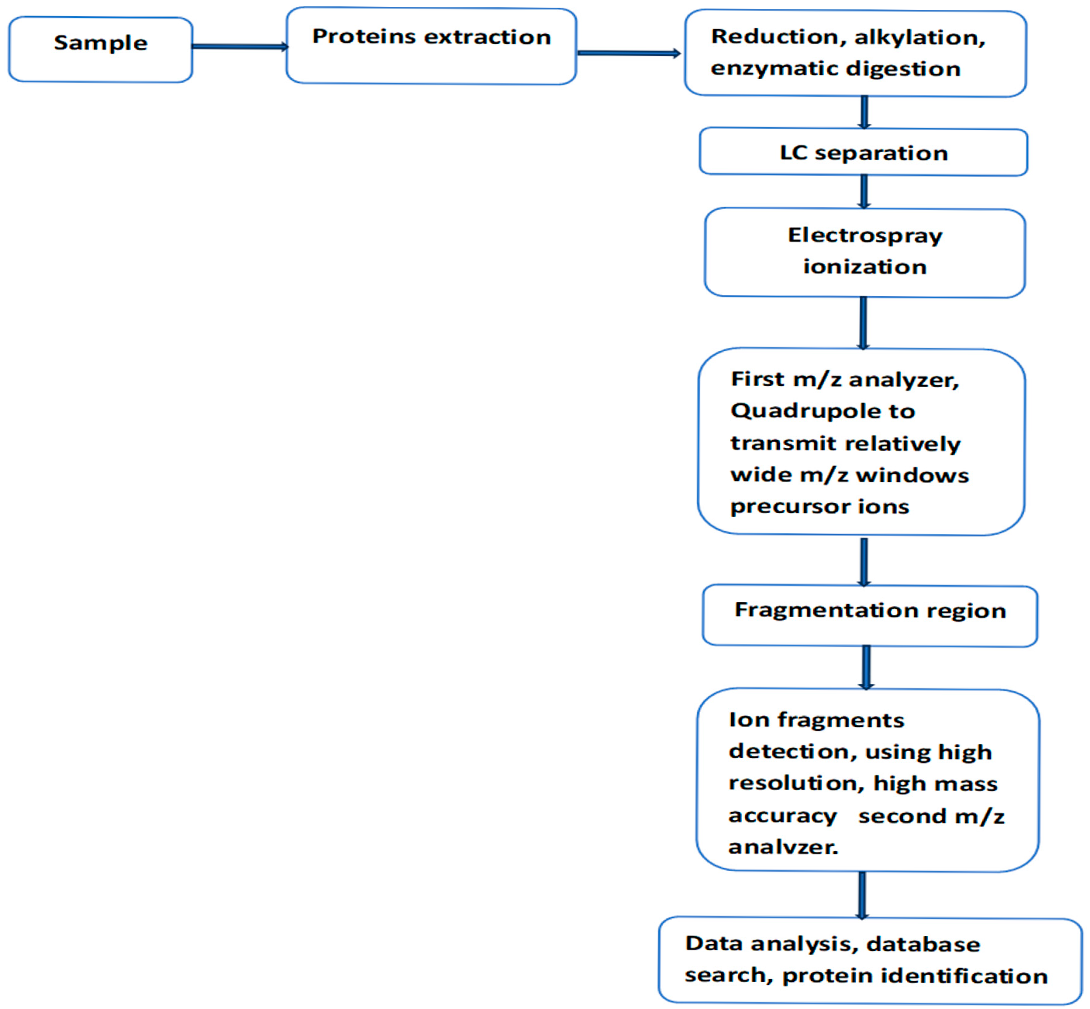 Neurosci 06 00050 g001