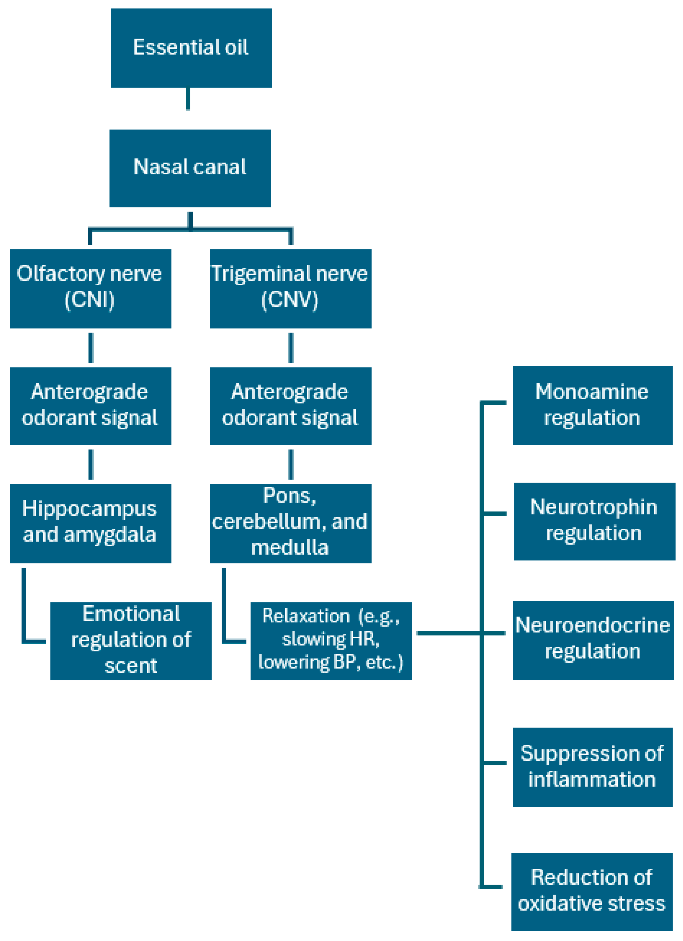 Neurosci 06 00051 g003 Neurosci 06 00051 g003