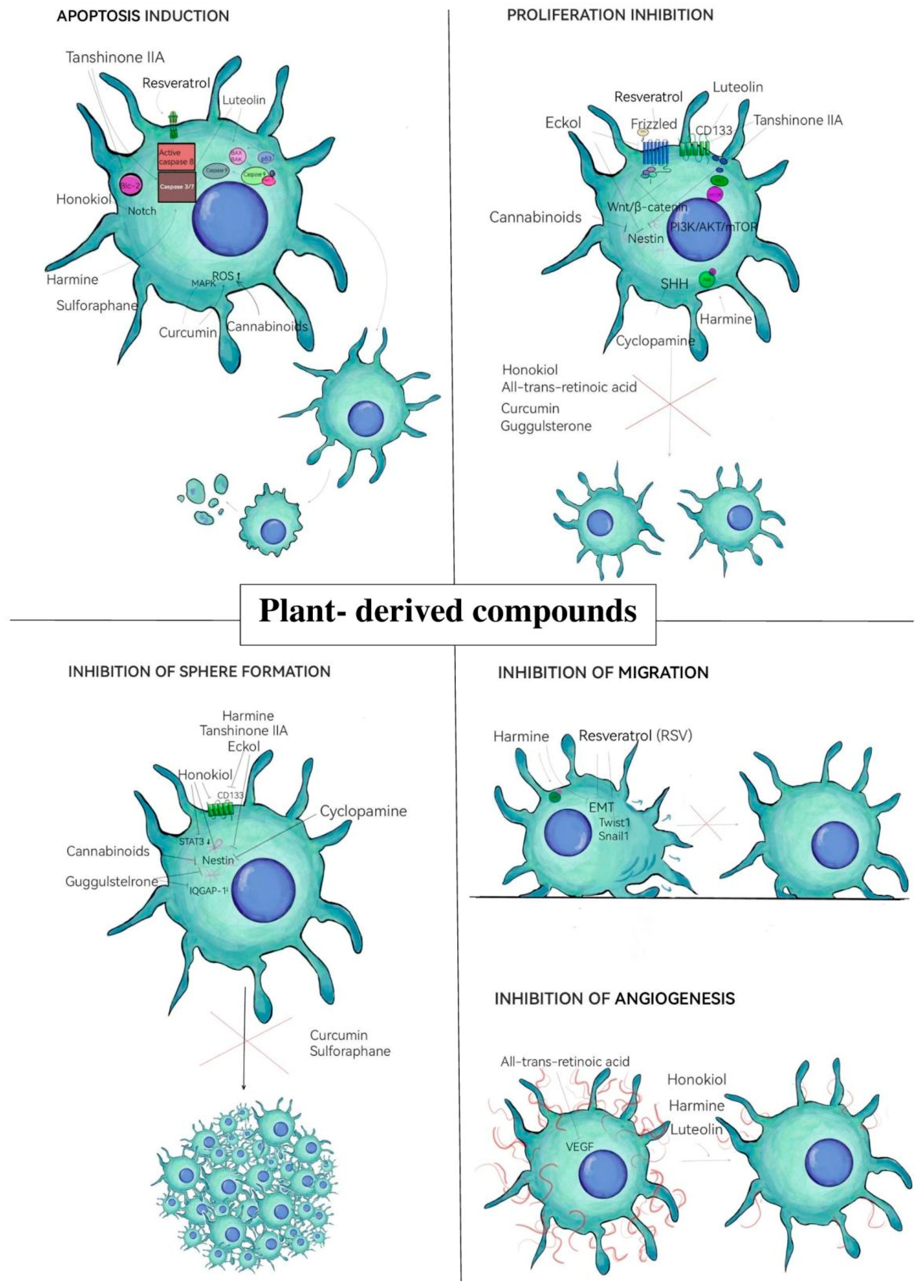 Neurosci 06 00052 g002