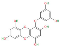 Neurosci 06 00052 i012