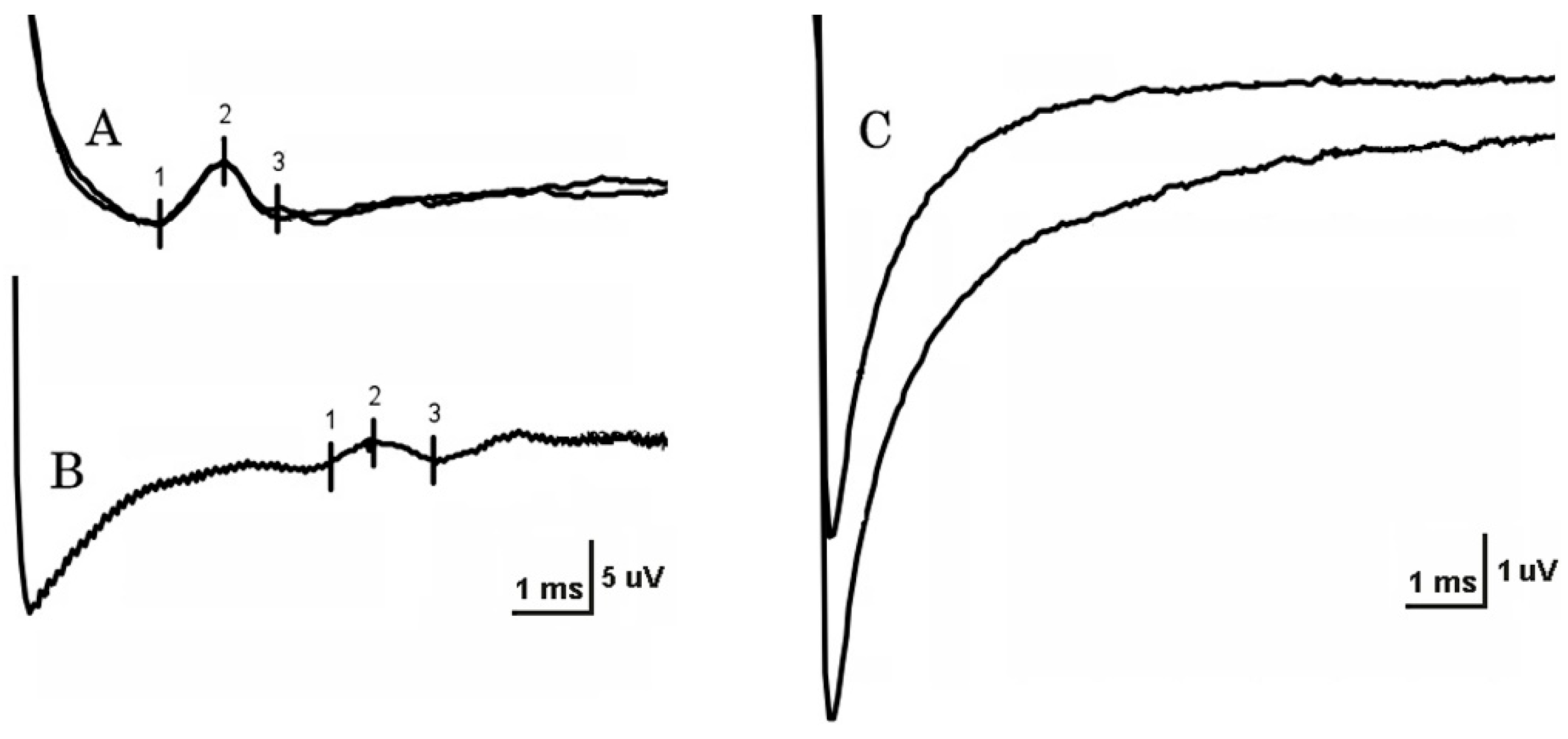 Neurosci 06 00058 g001