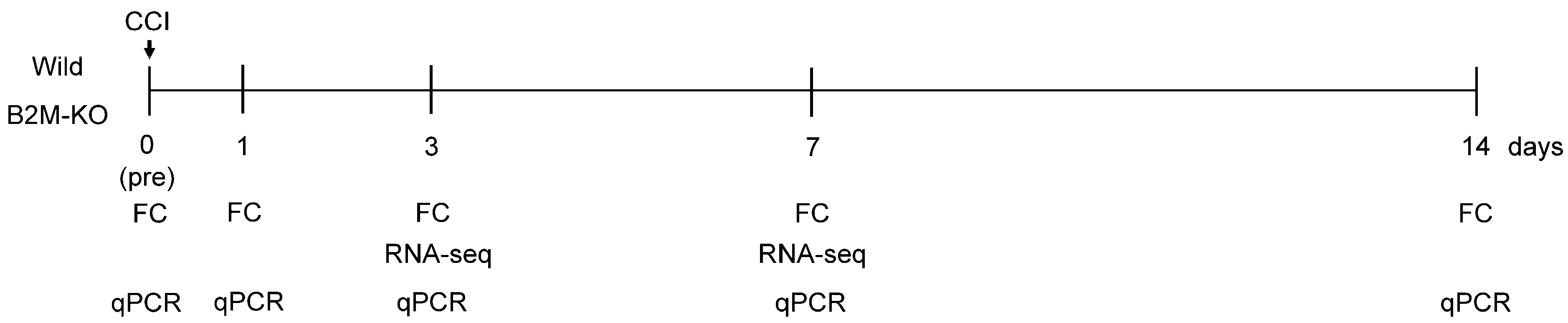 Neurosci 06 00059 g001