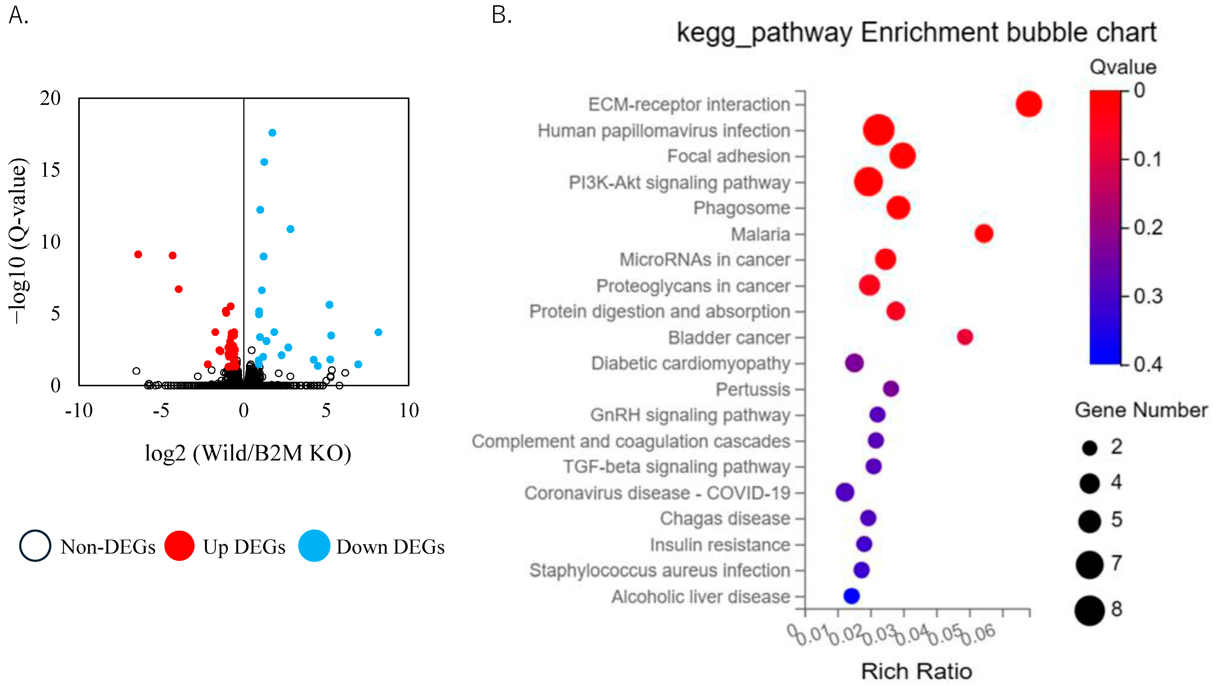 Neurosci 06 00059 g003