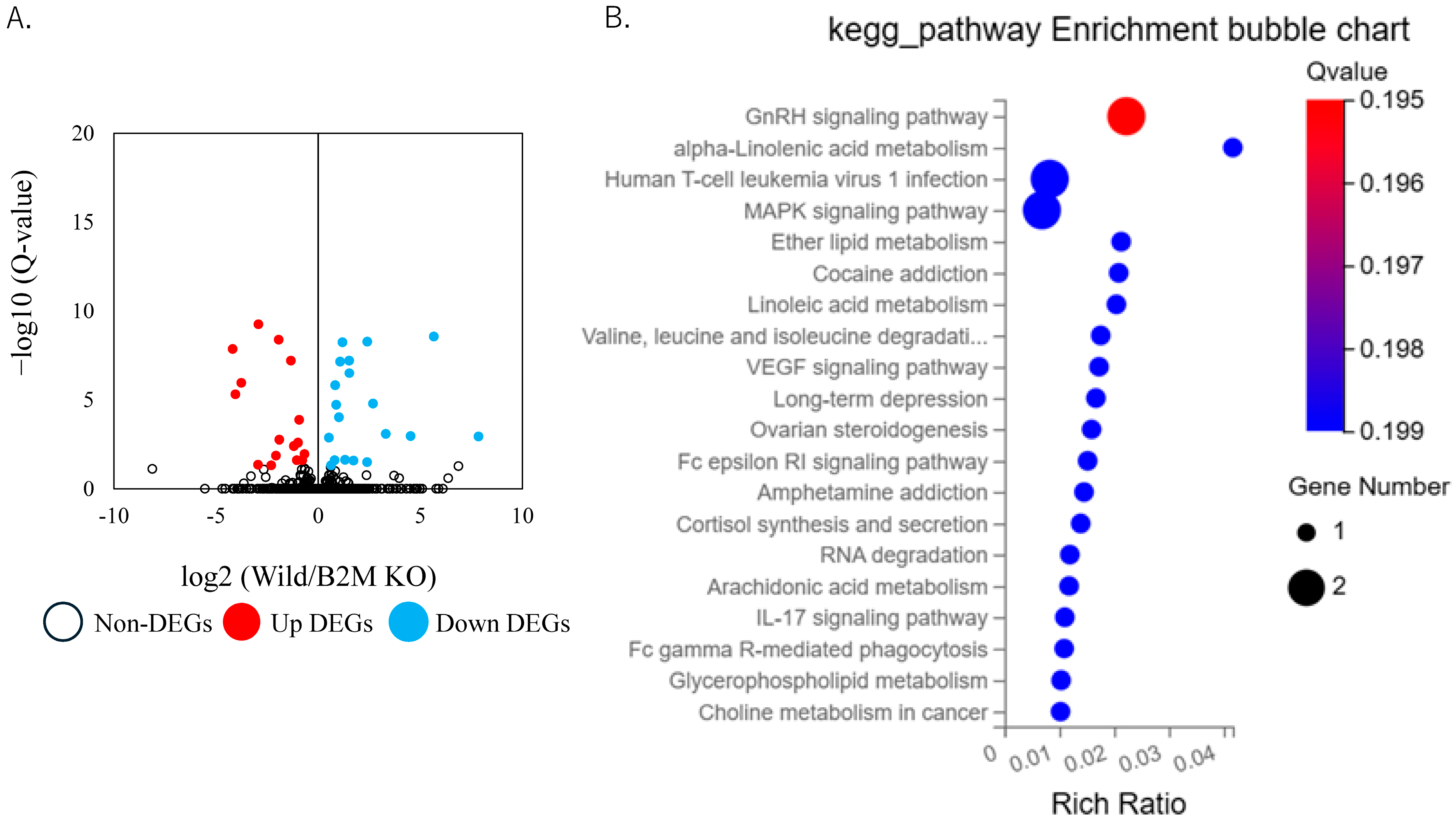 Neurosci 06 00059 g004