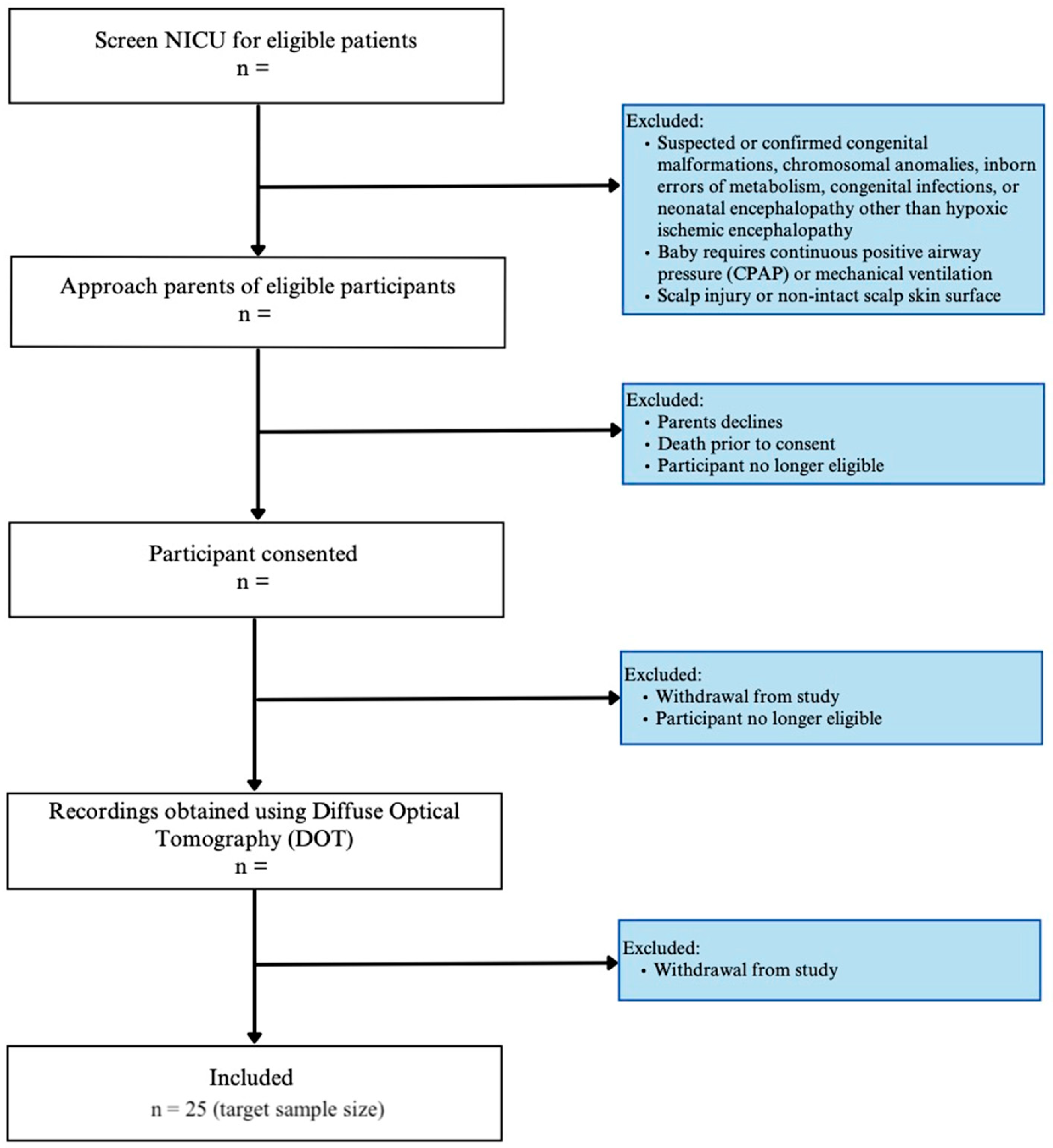 Neurosci 06 00060 g001