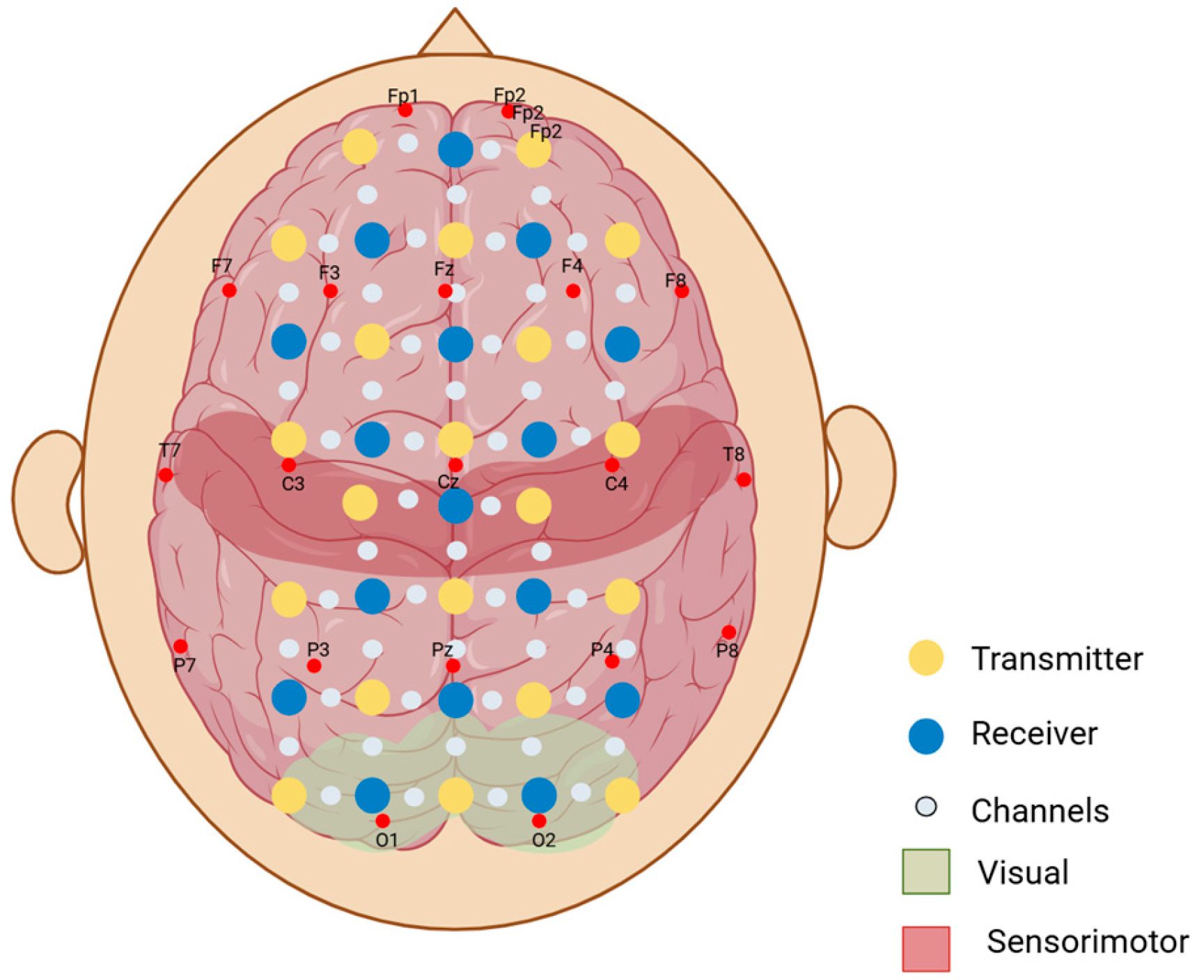 Neurosci 06 00060 g004