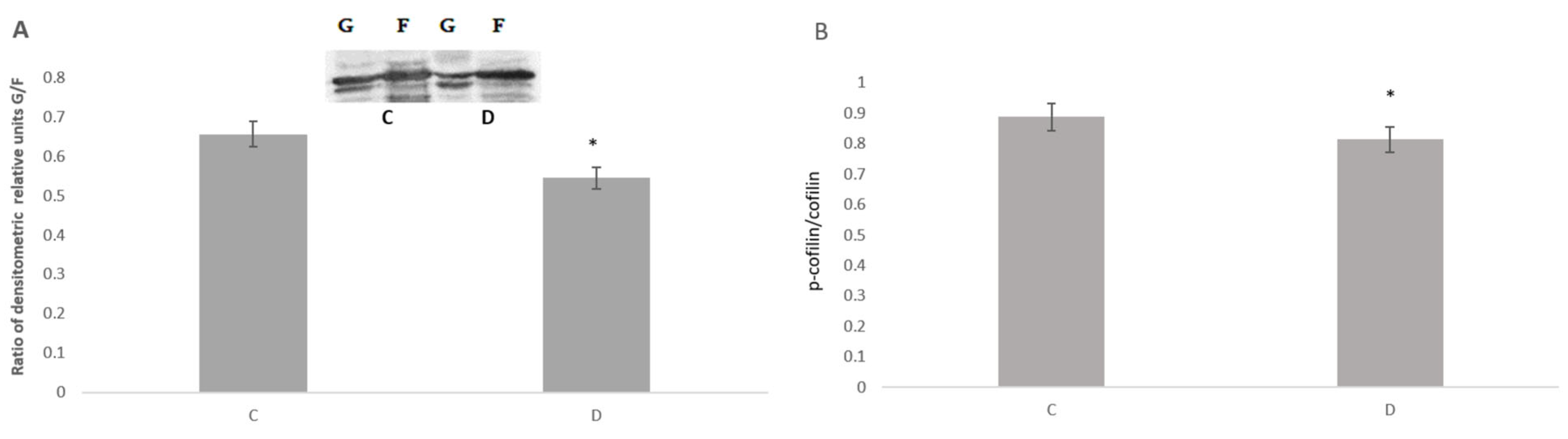 Neurosci 06 00061 g002