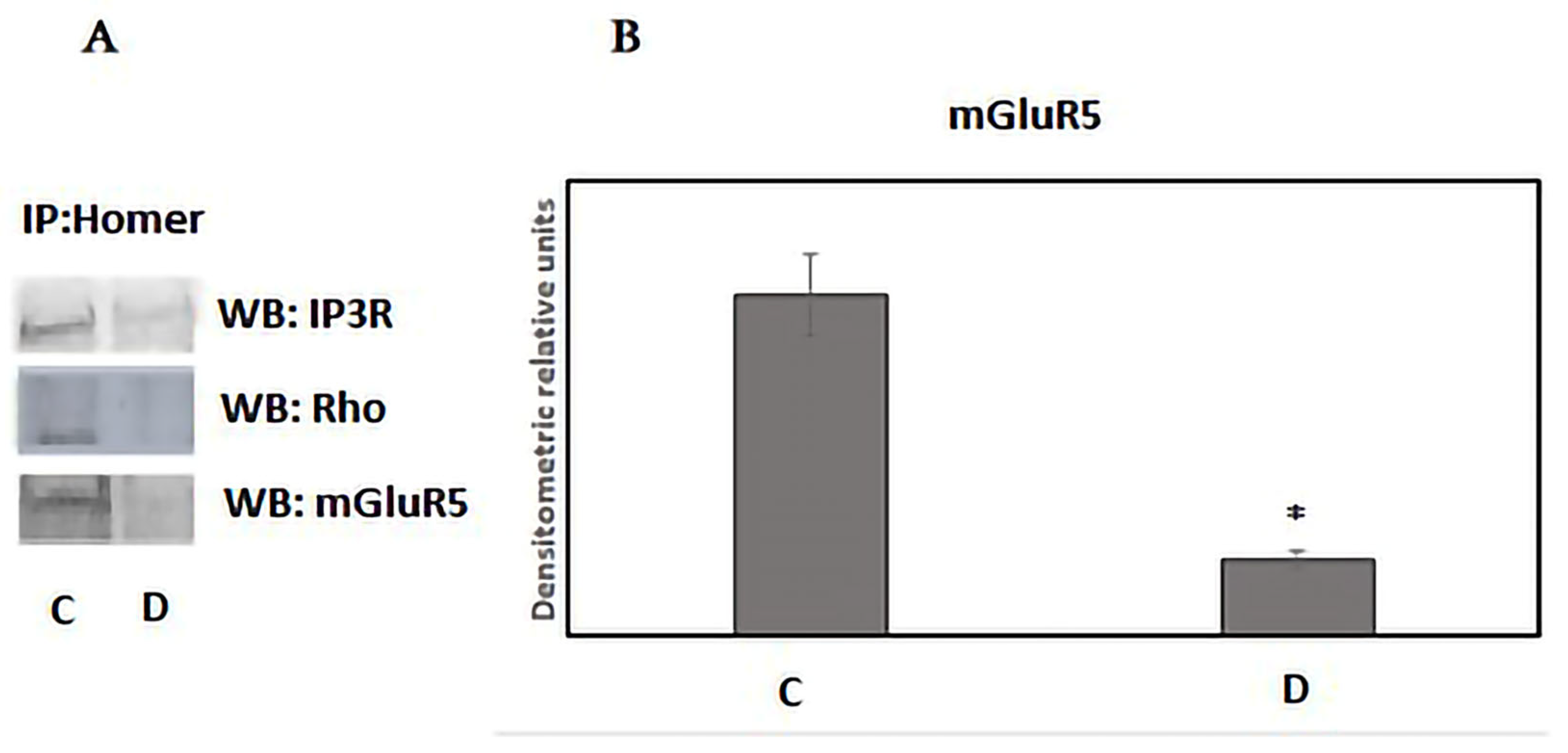 Neurosci 06 00061 g003