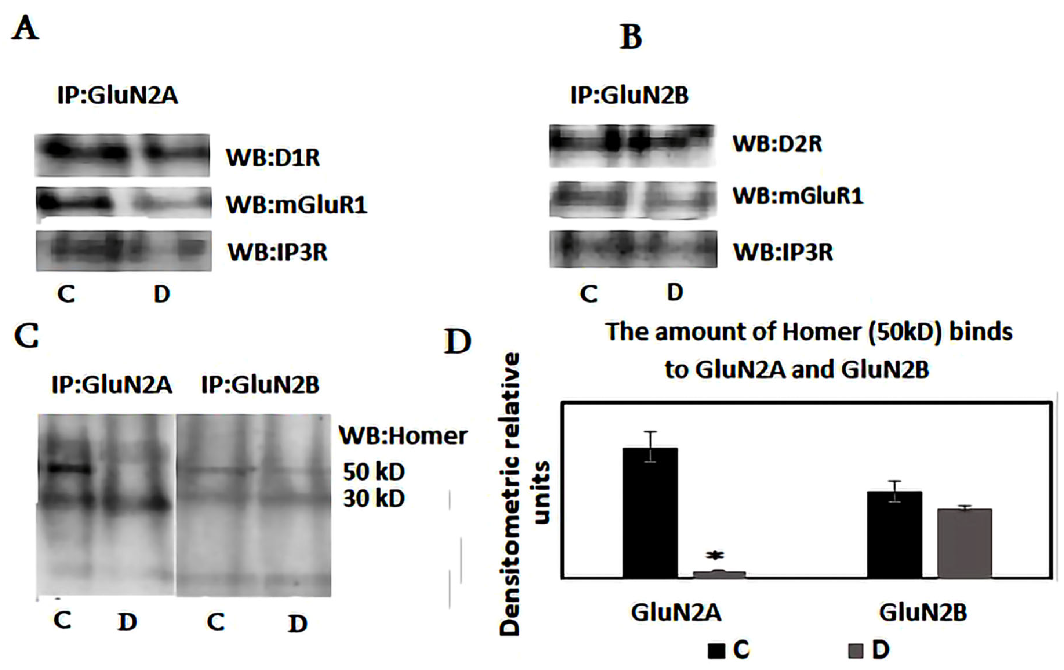 Neurosci 06 00061 g004