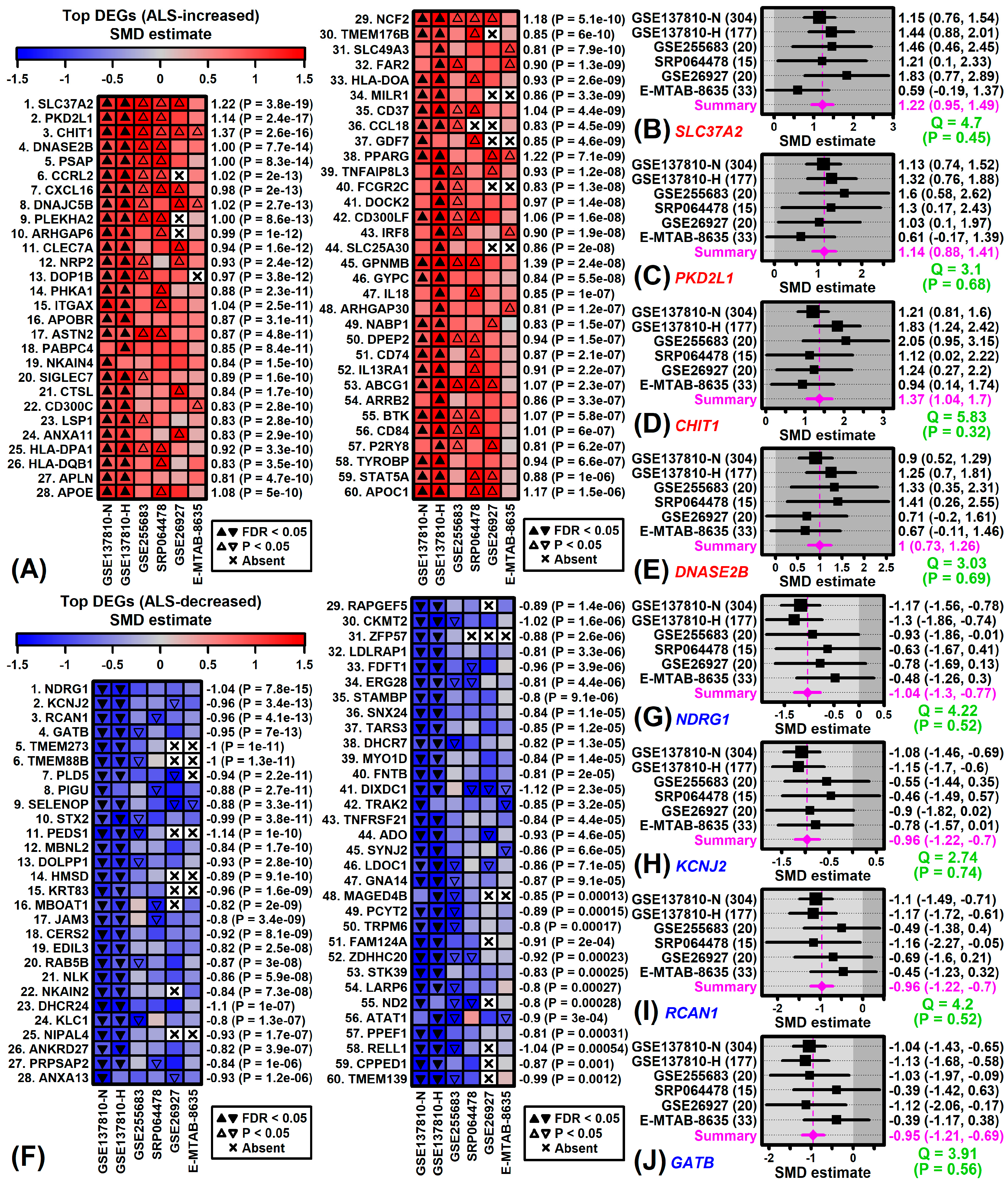 Neurosci 06 00065 g002