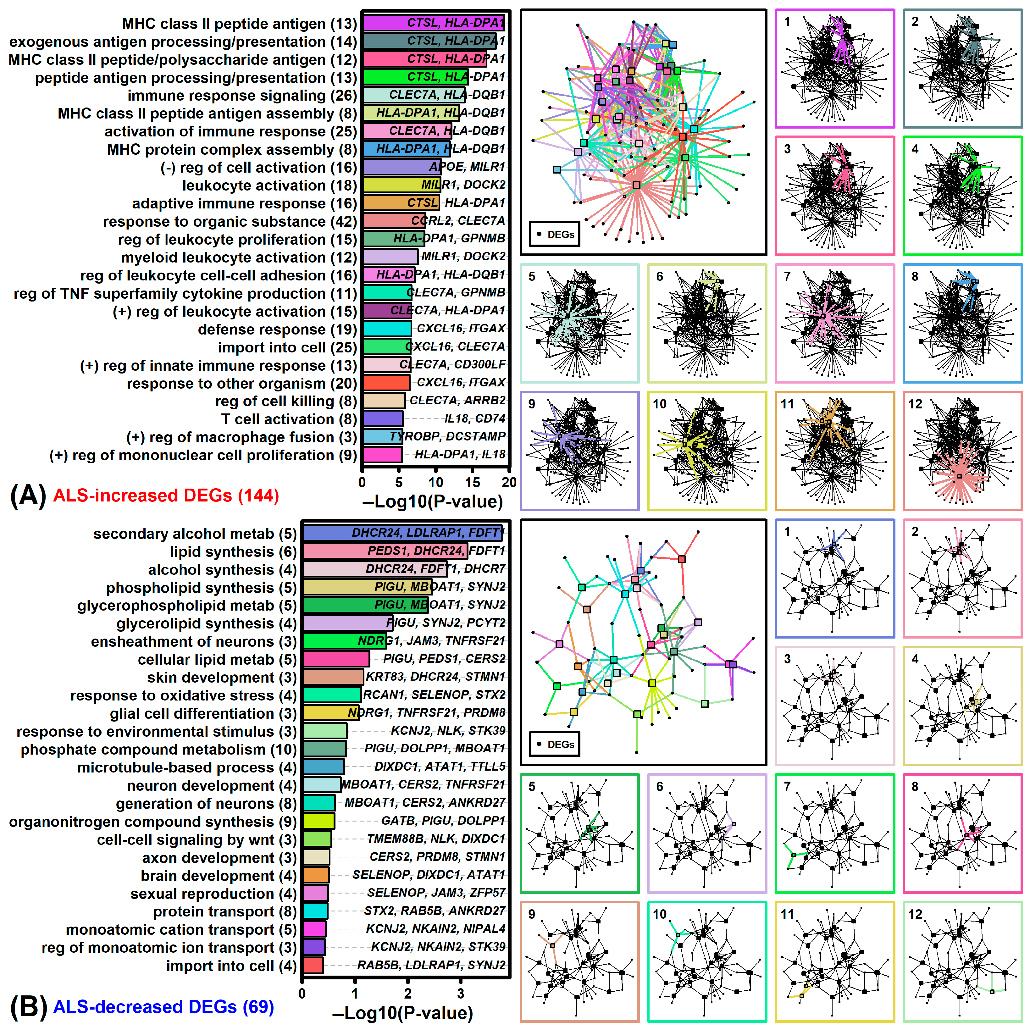 Neurosci 06 00065 g003