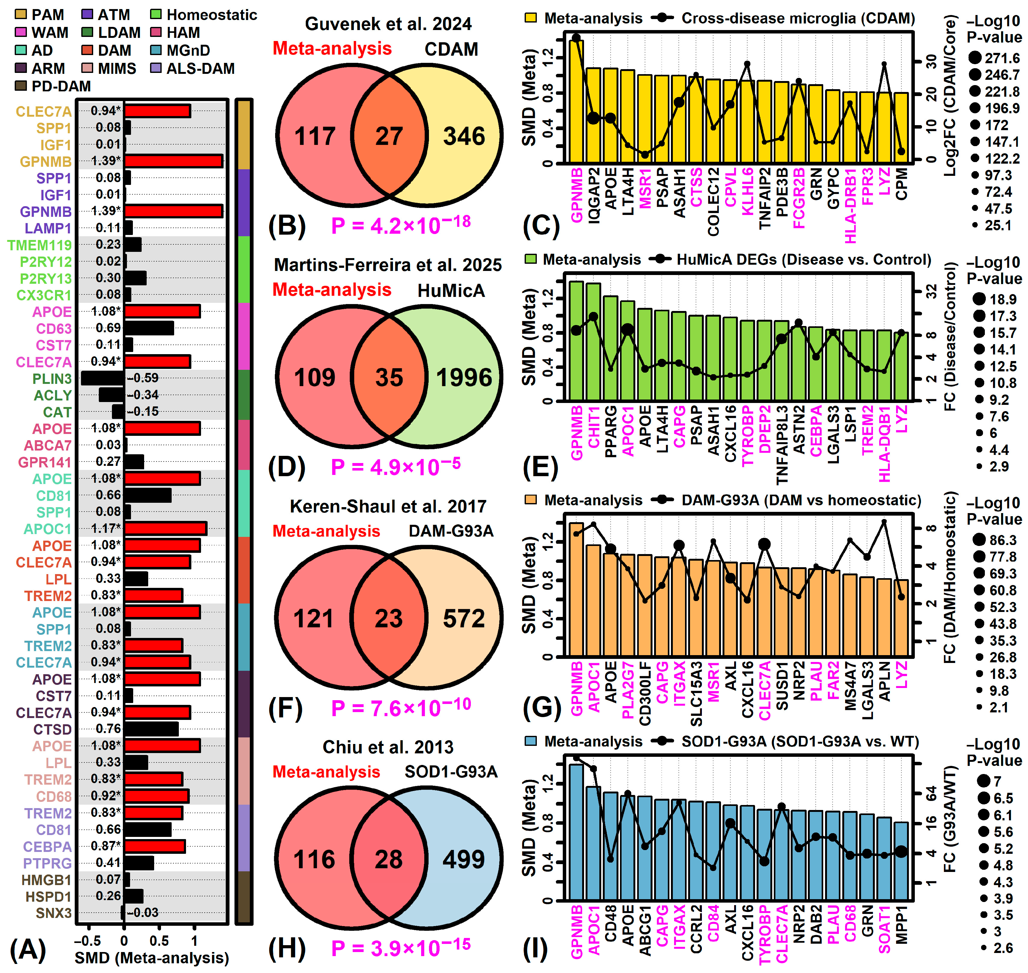 Neurosci 06 00065 g005