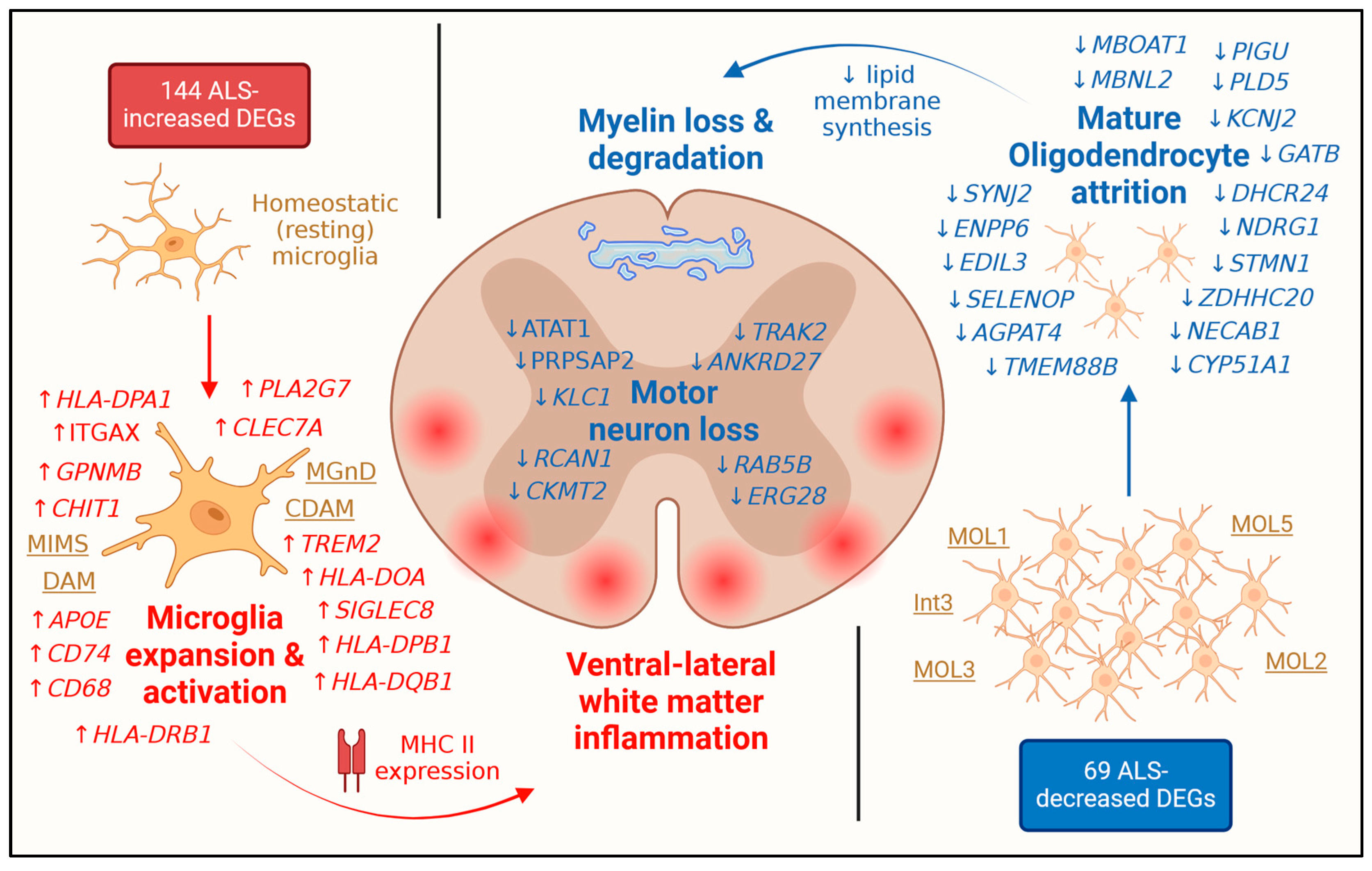 Neurosci 06 00065 g009