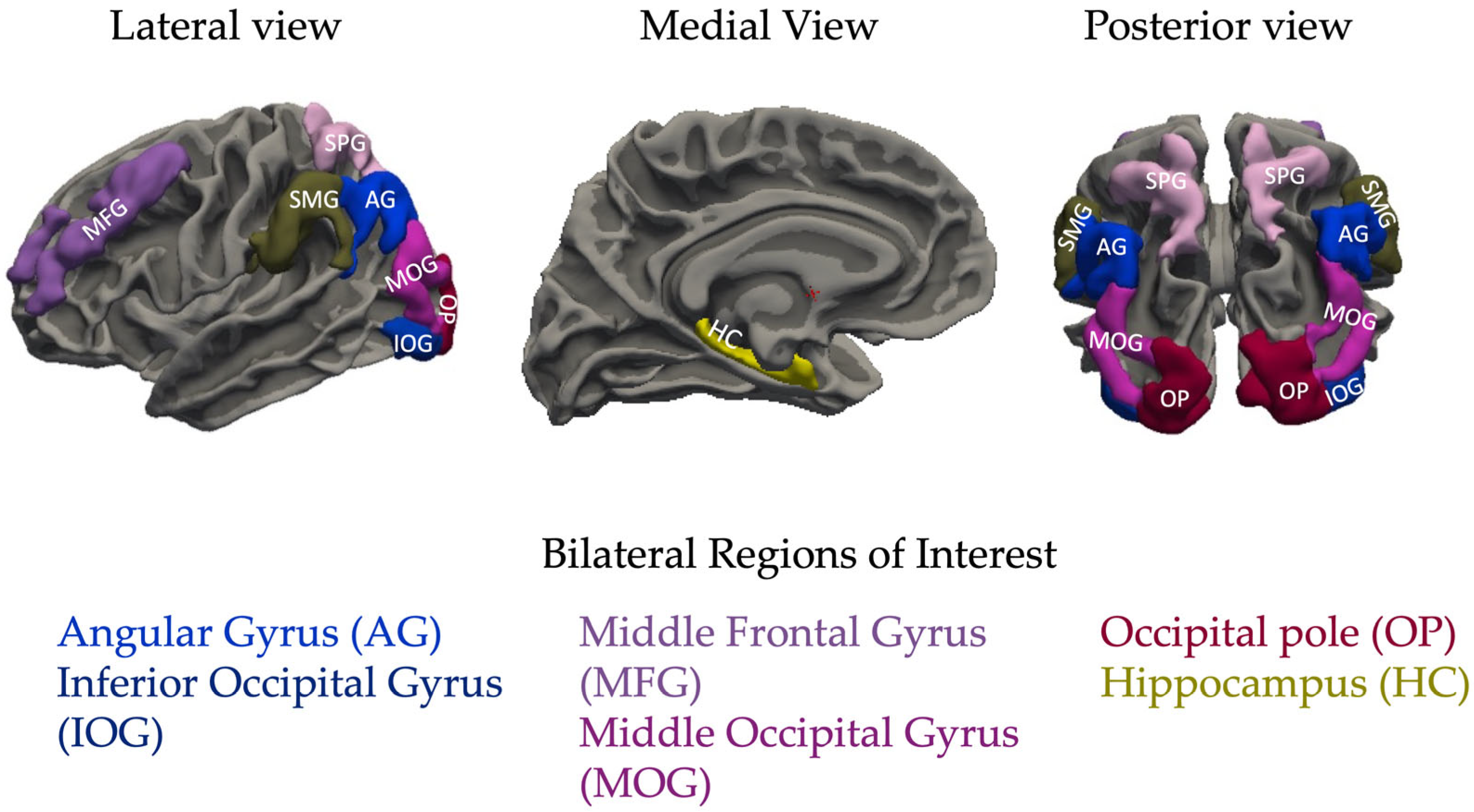 Neurosci 06 00068 g001 Neurosci 06 00068 g001