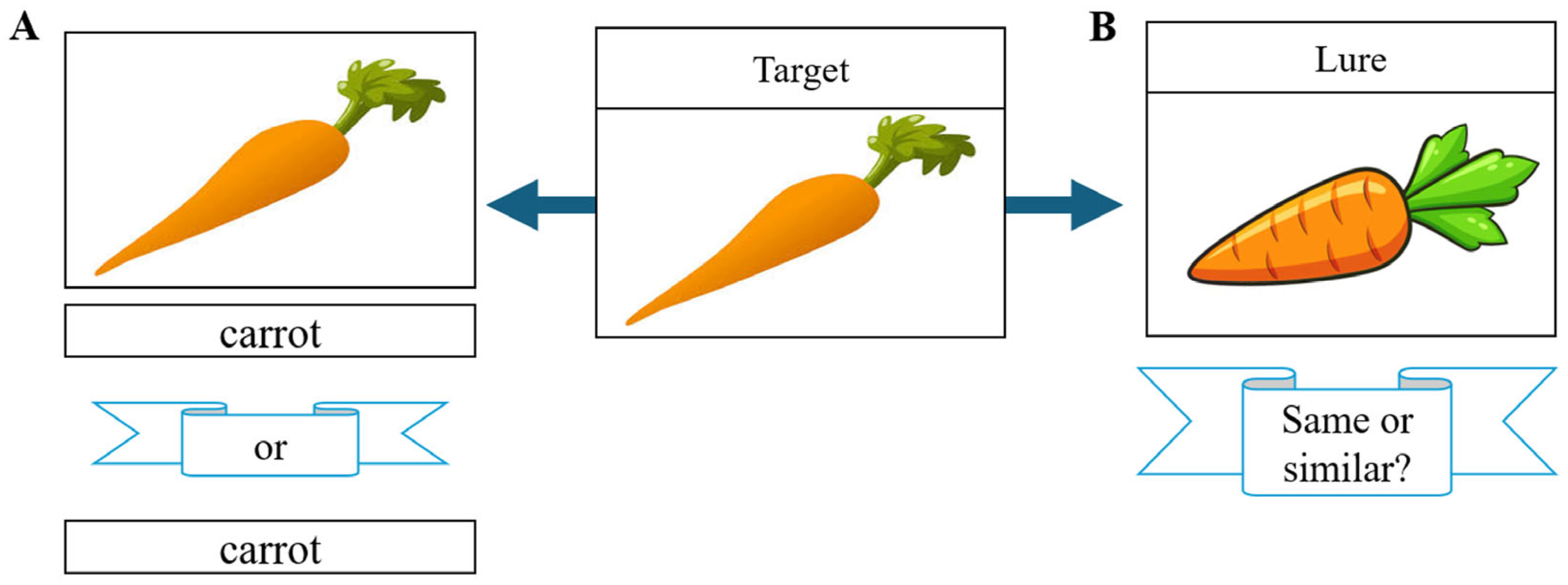 Neurosci 06 00068 g002 Neurosci 06 00068 g002