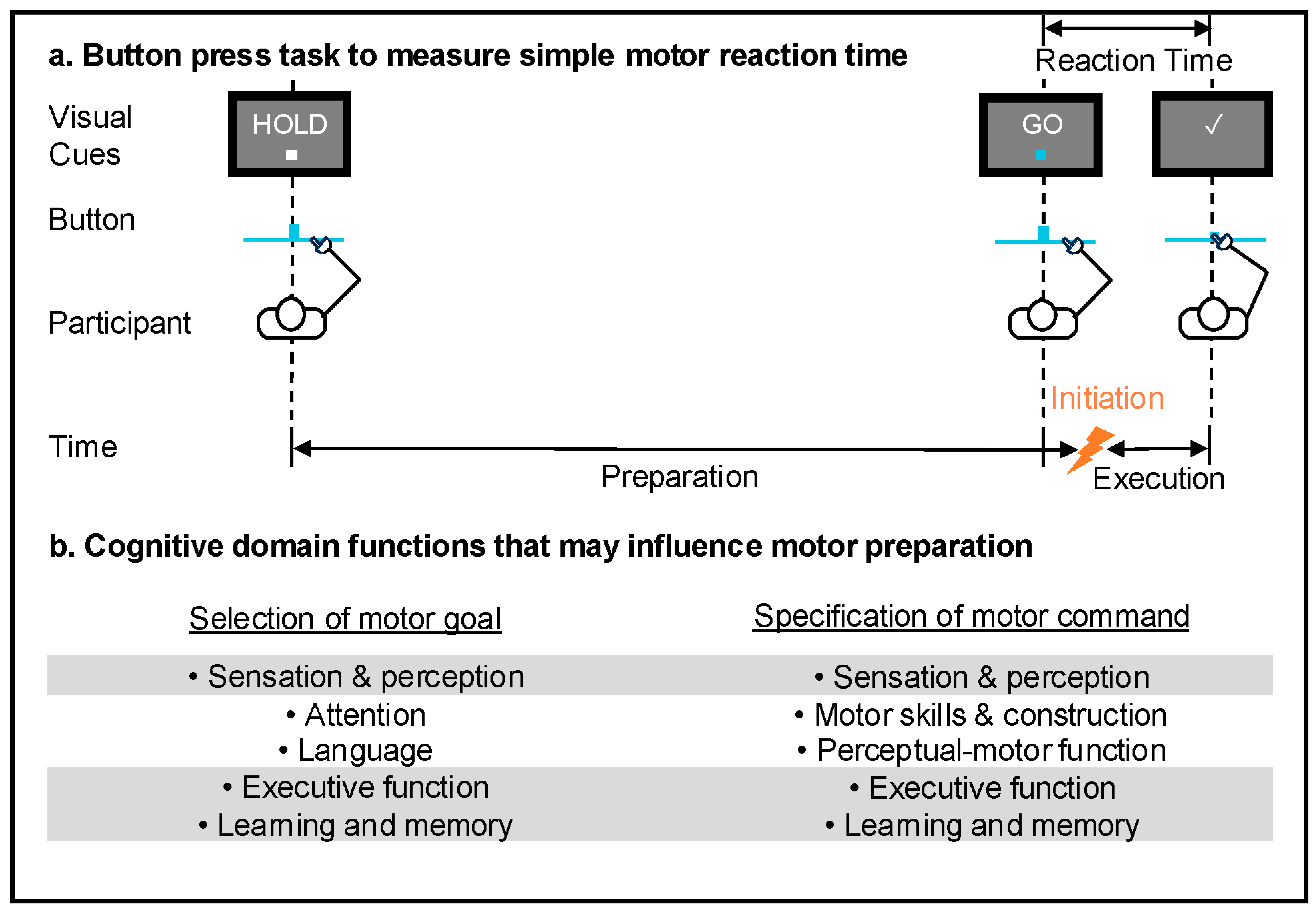 Neurosci 06 00071 g002