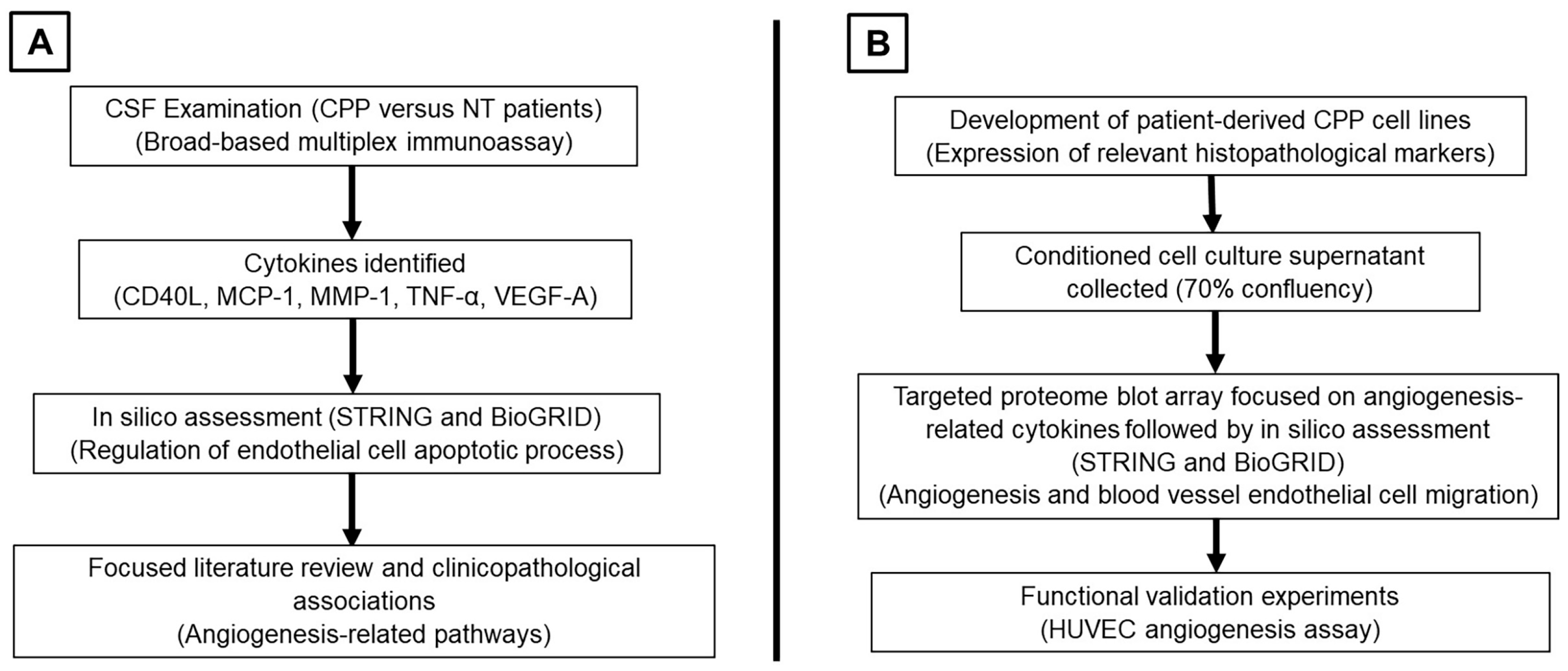 Neurosci 06 00076 g001 Neurosci 06 00076 g001