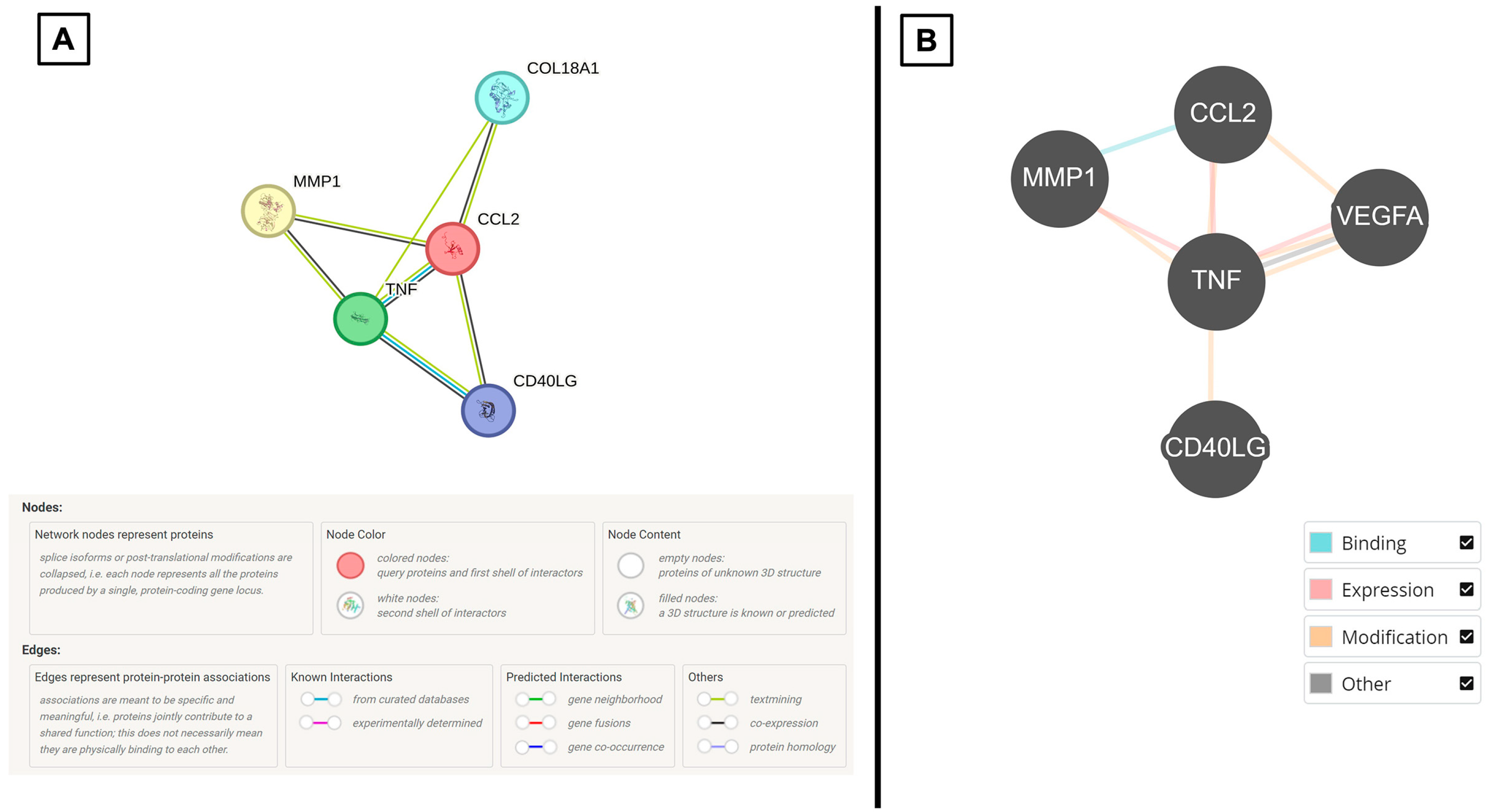 Neurosci 06 00076 g003 Neurosci 06 00076 g003