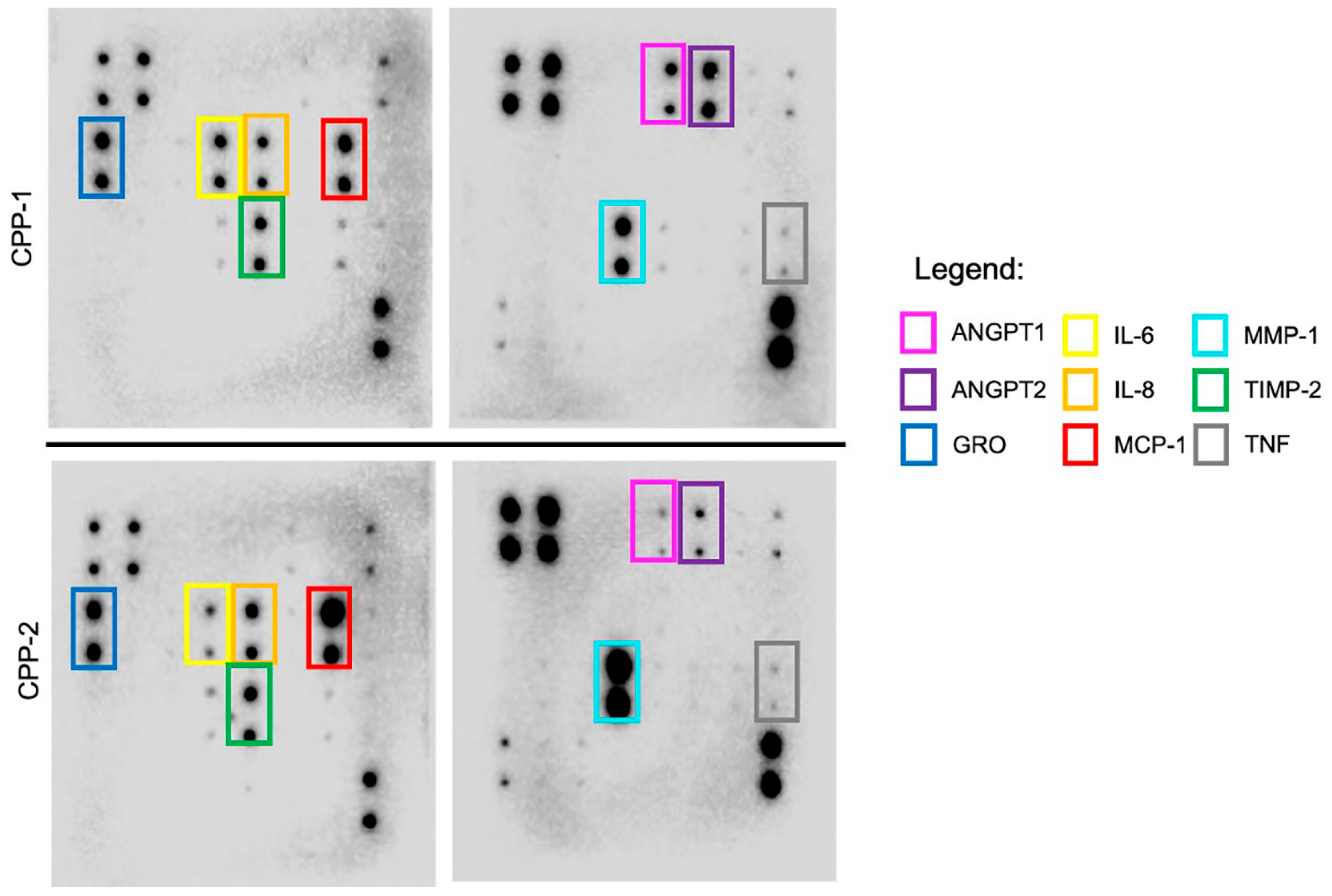 Neurosci 06 00076 g004 Neurosci 06 00076 g004