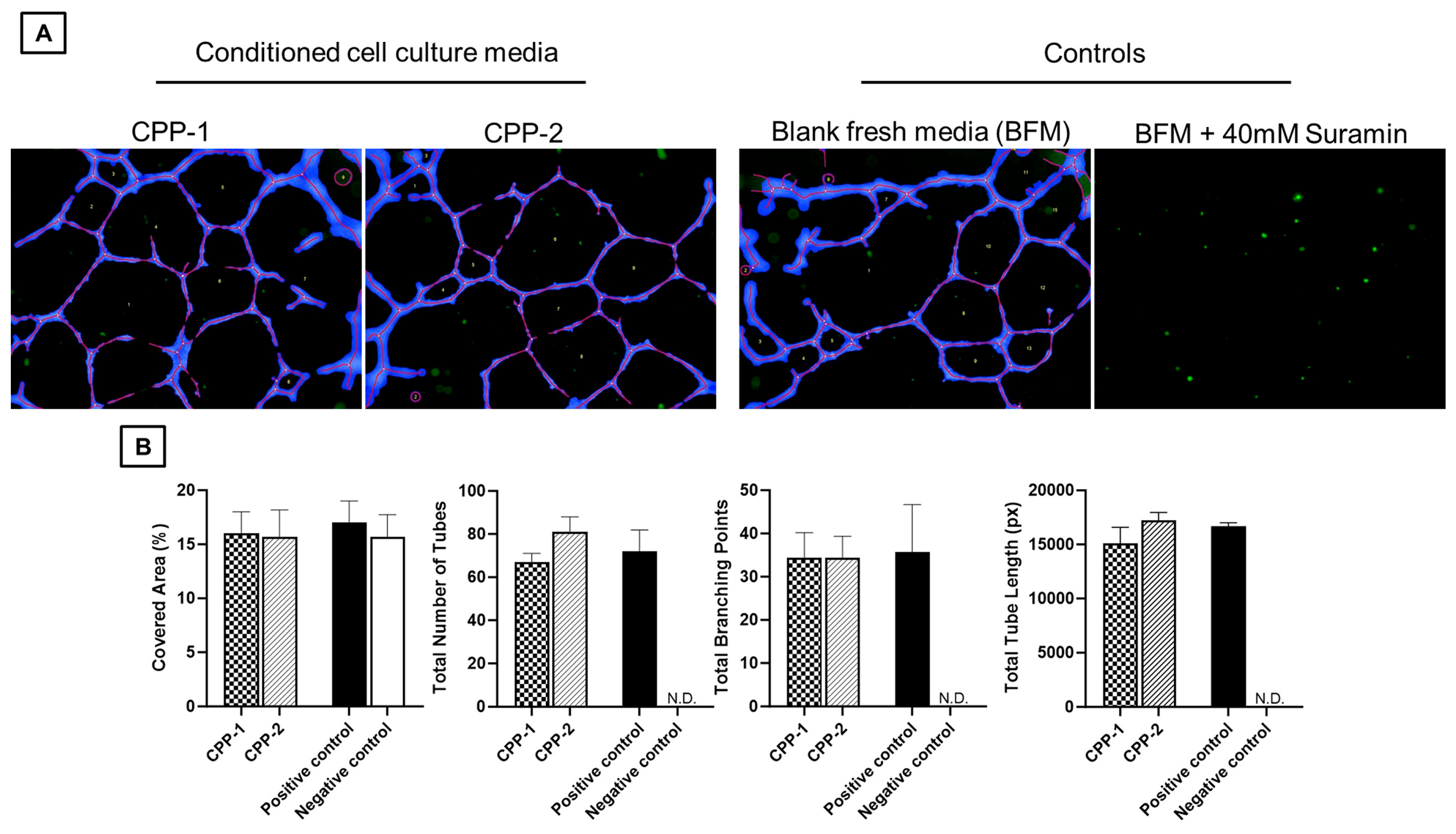 Neurosci 06 00076 g006 Neurosci 06 00076 g006