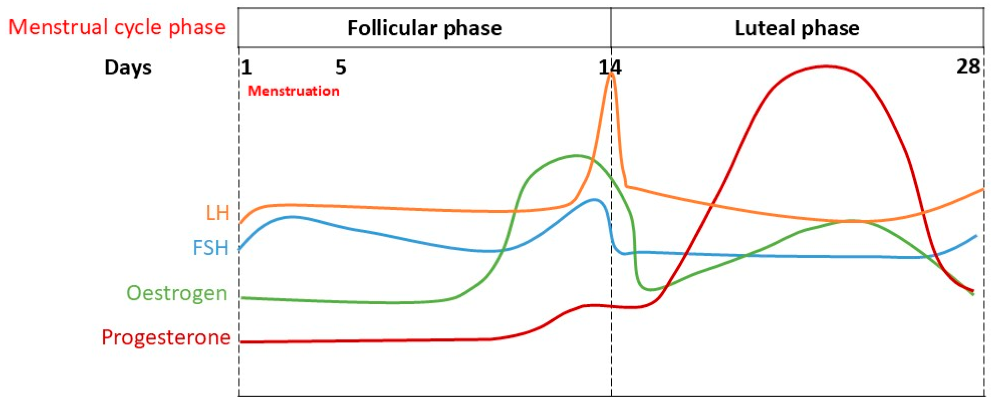 Neurosci 06 00078 g001 Neurosci 06 00078 g001