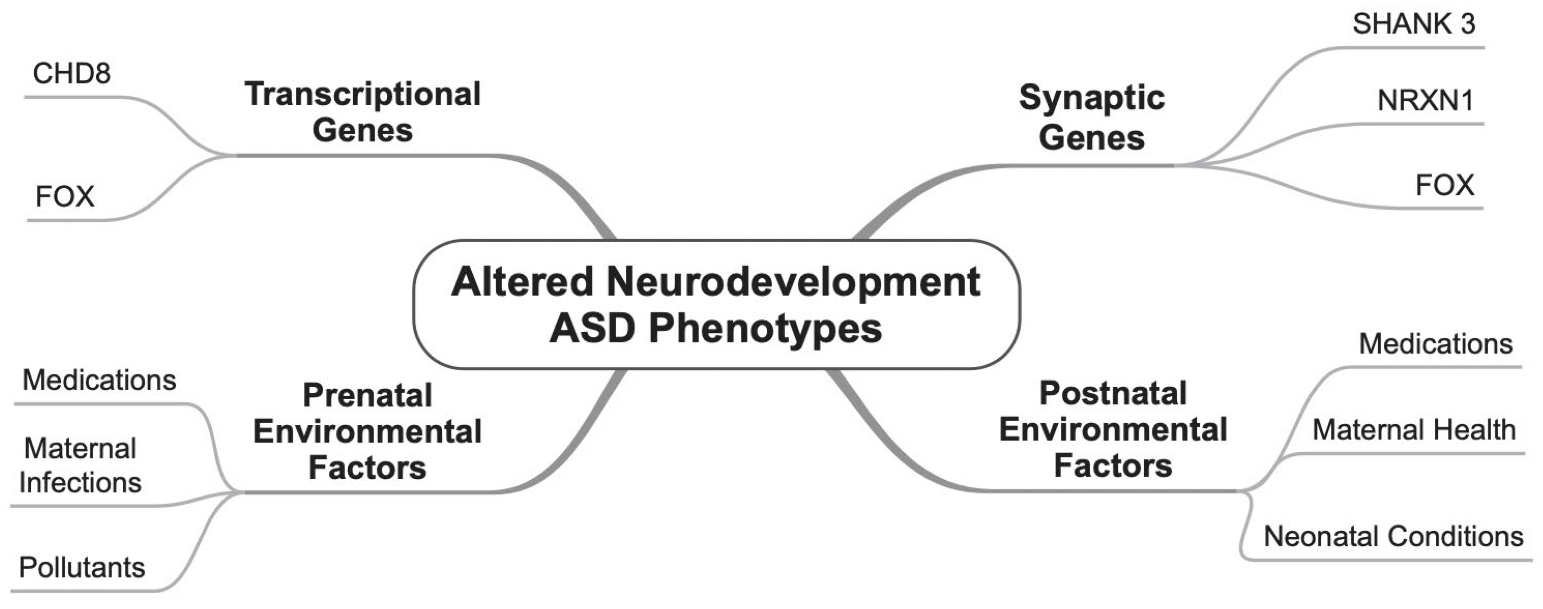 Neurosci 06 00084 g001 Neurosci 06 00084 g001